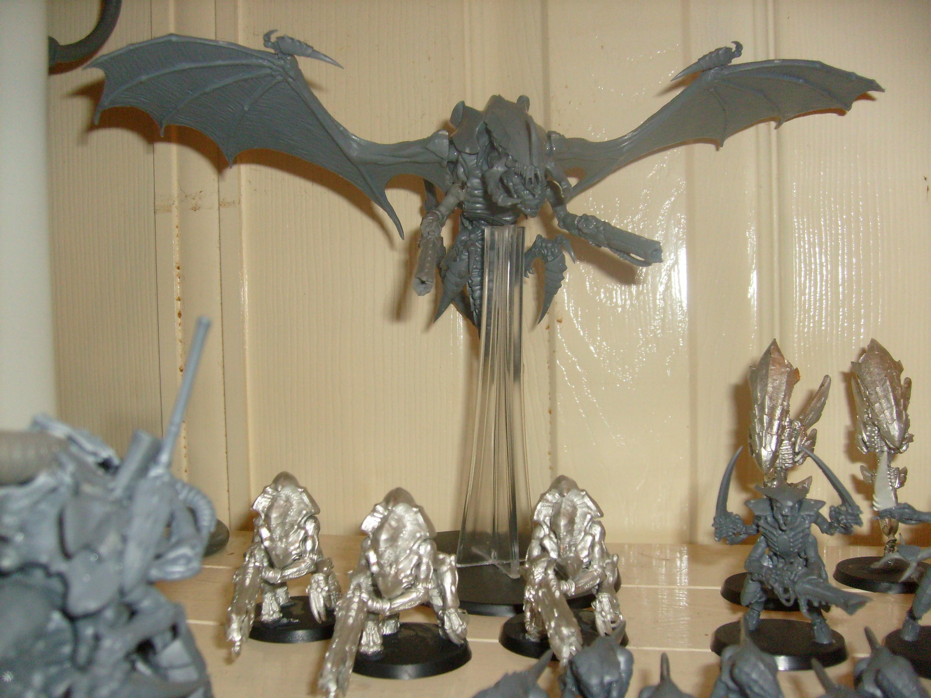 guard and harpy