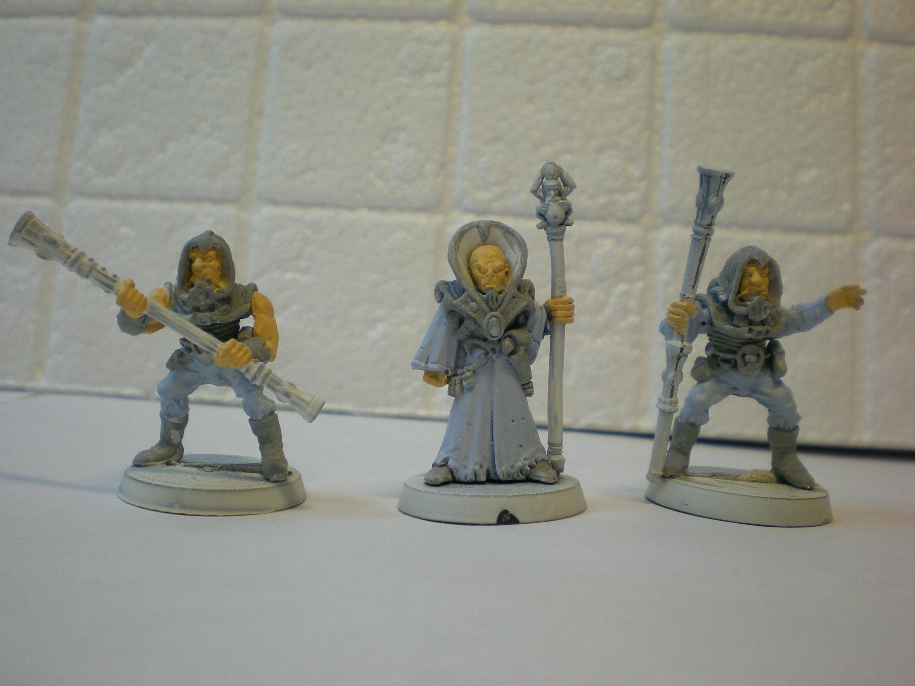magus and acolytes, rough PiP