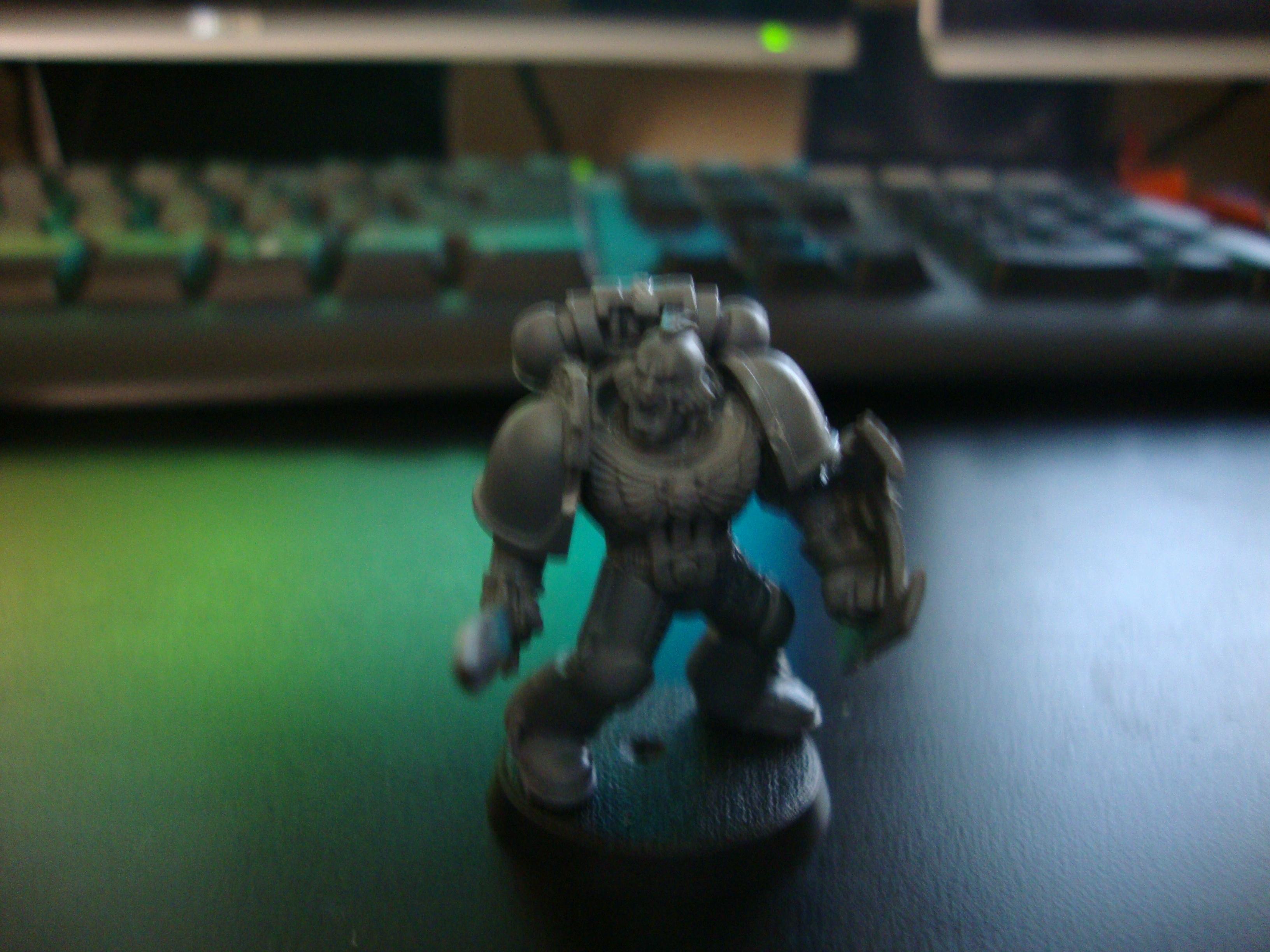 Space Marines, Space Wolves