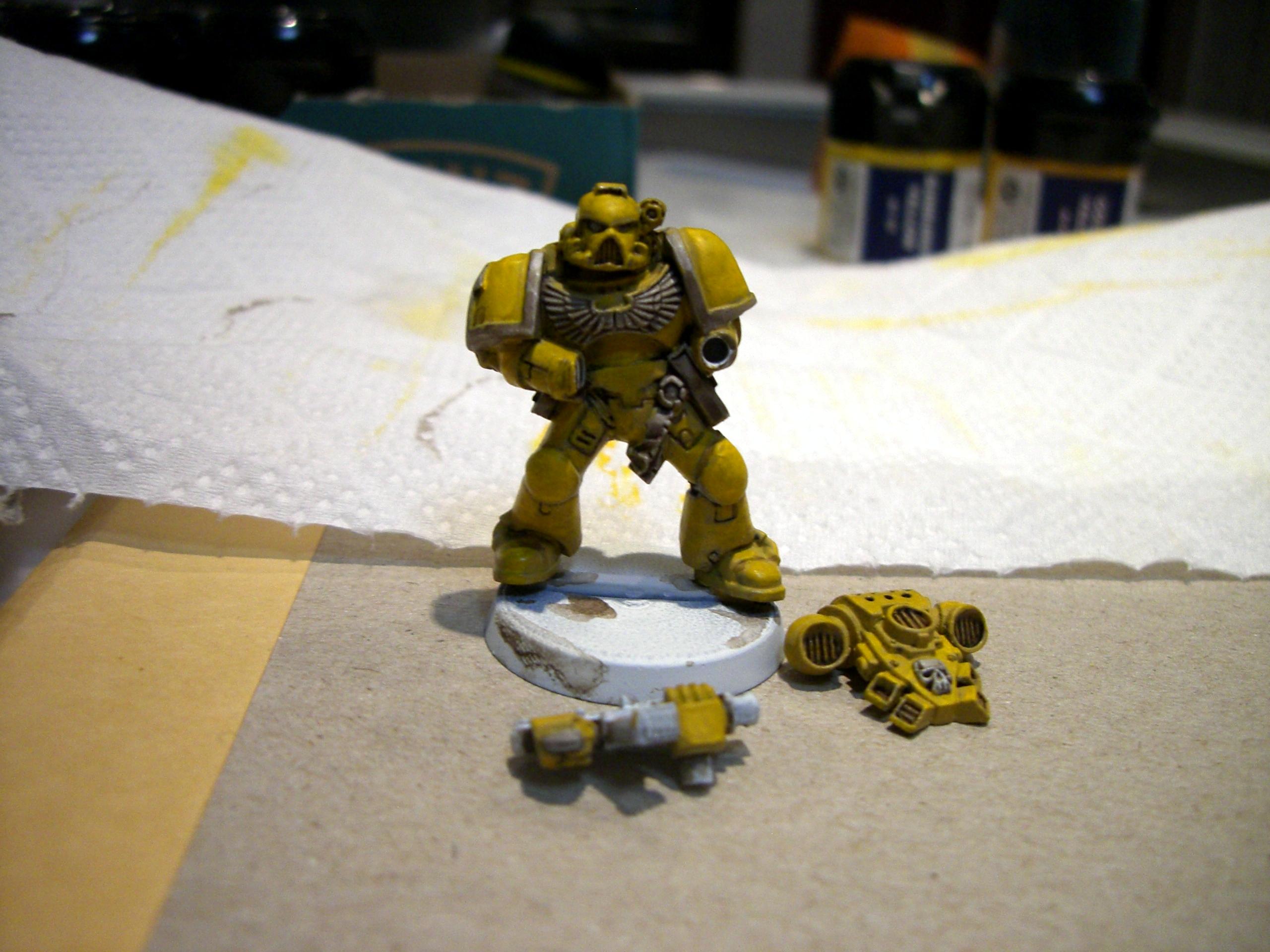 Golden Yellow Highlight