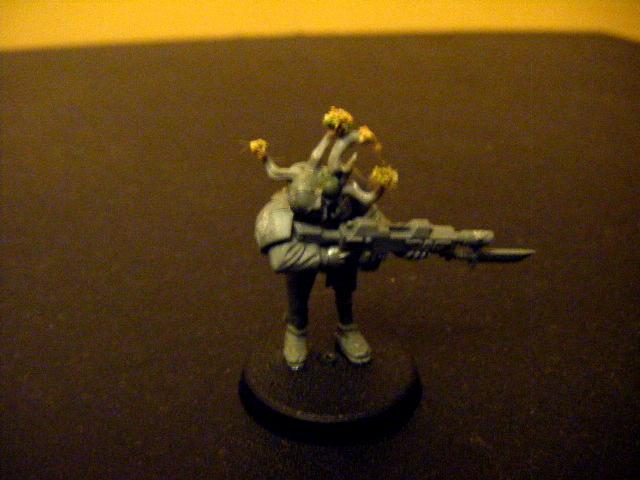 Cadians, Flood, Halo, Imperial, Imperial Guard, Infantry, Zombie