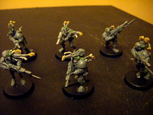 Cadians, Flood, Halo, Imperial, Imperial Guard, Infantry, Zombie