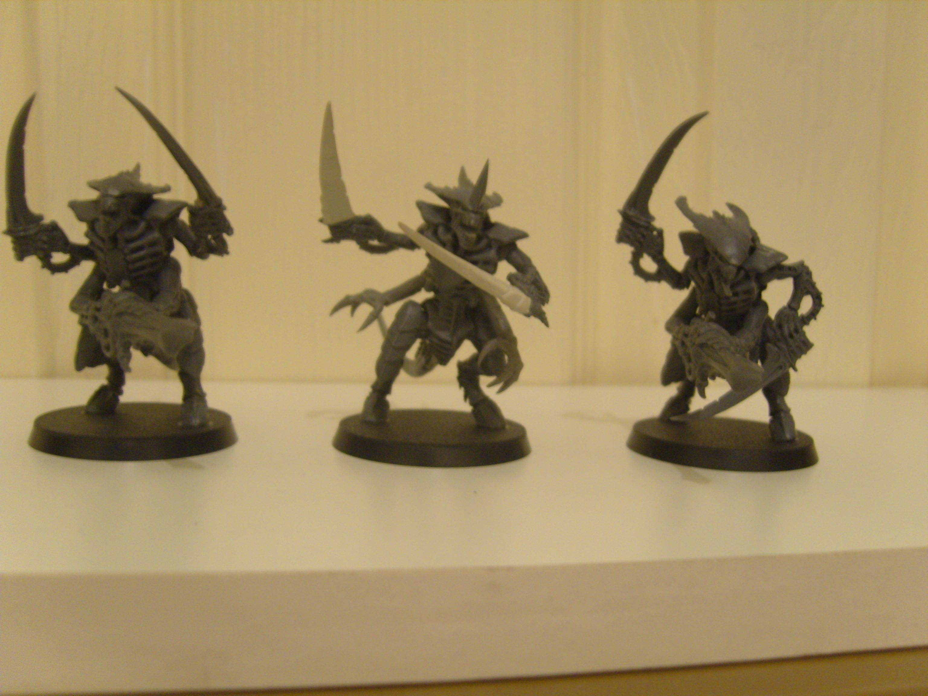 warriors