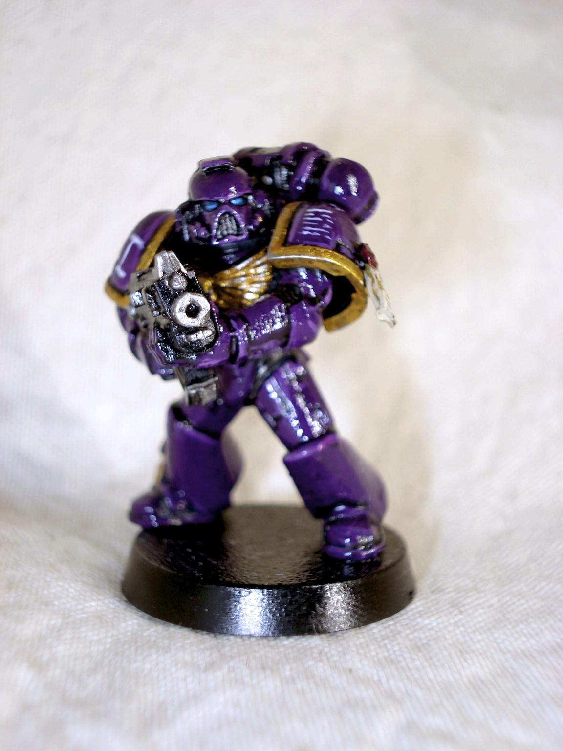 Hawk Lords, Space Marines
