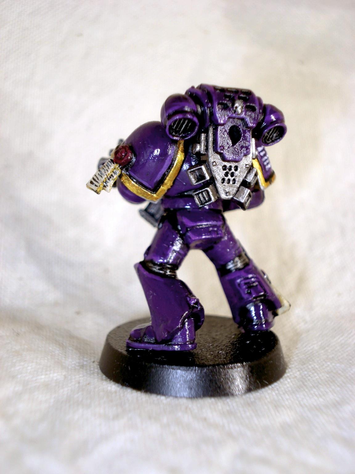 Hawk Lord Space Marine