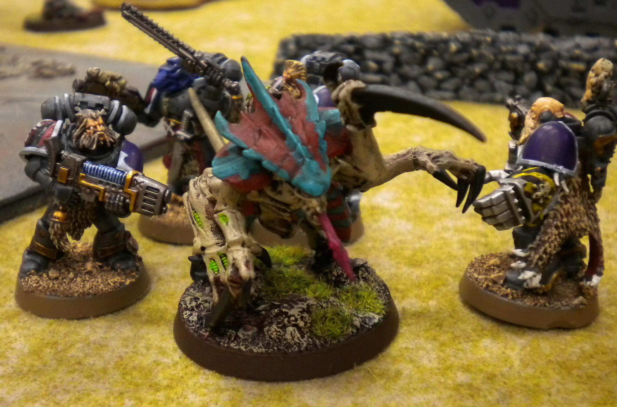 Battle Report, Space Marines, Space Wolves, Tyranids, Warhammer 40,000