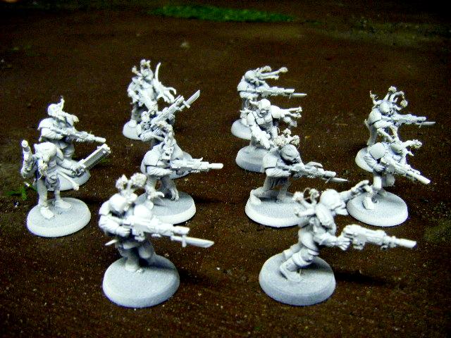 Cadians, Flood, Halo, Imperial, Imperial Guard