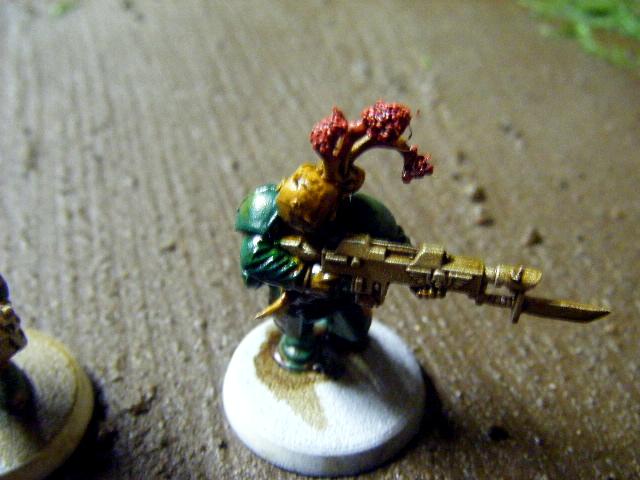 Cadians, Flood, Halo, Imperial, Imperial Guard
