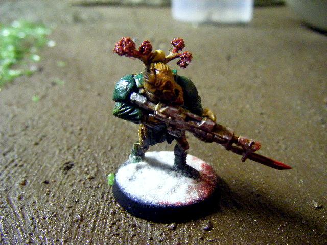 Cadians, Flood, Halo, Imperial, Imperial Guard