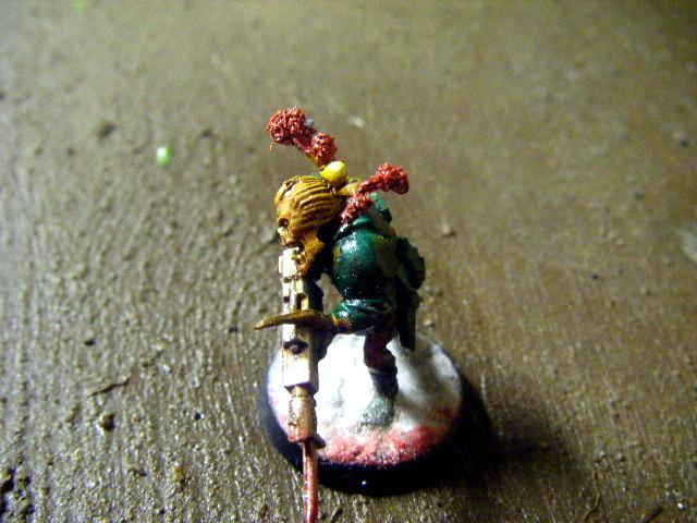 Cadians, Flood, Halo, Imperial, Imperial Guard
