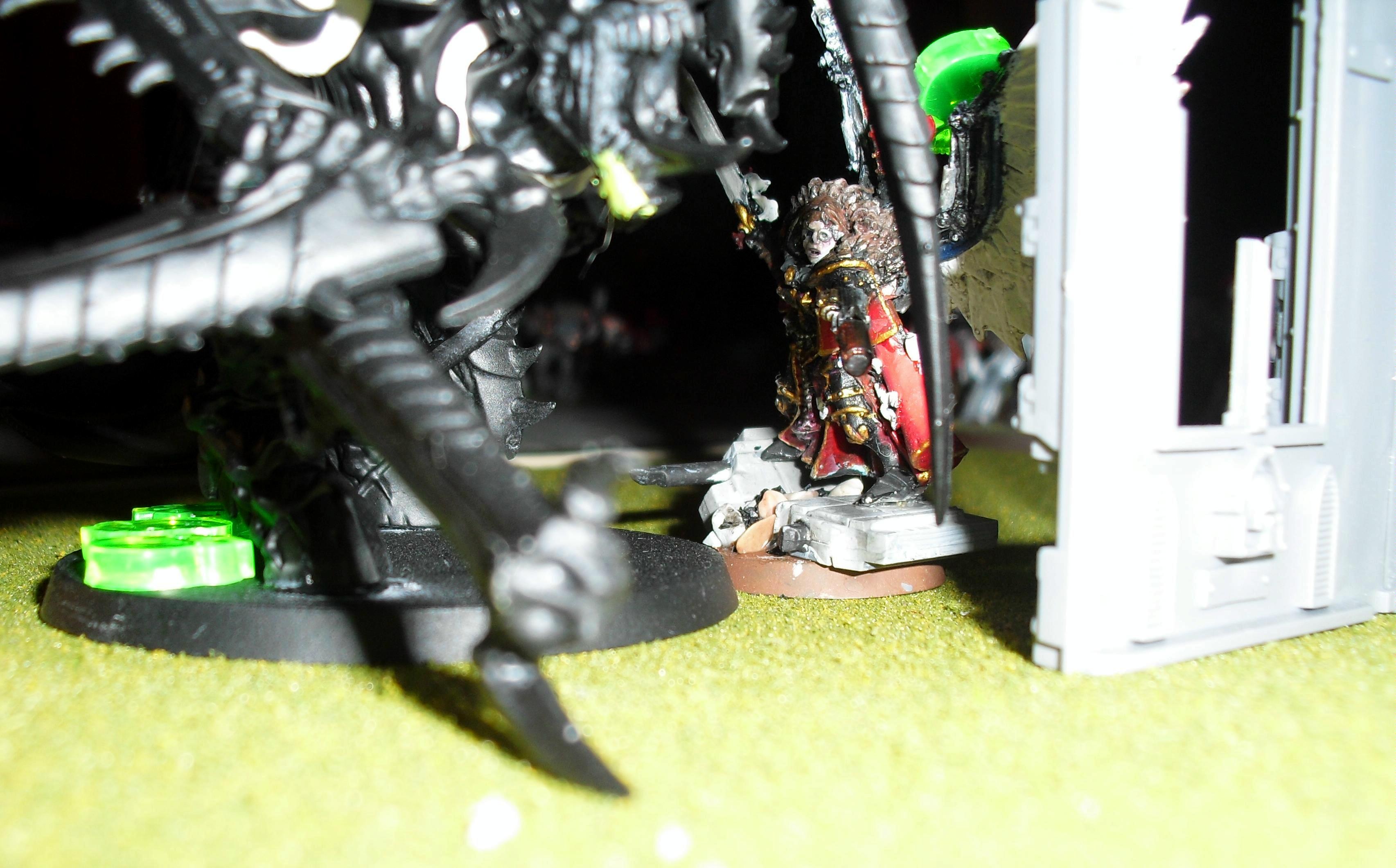 Canoness Vs Carnifex