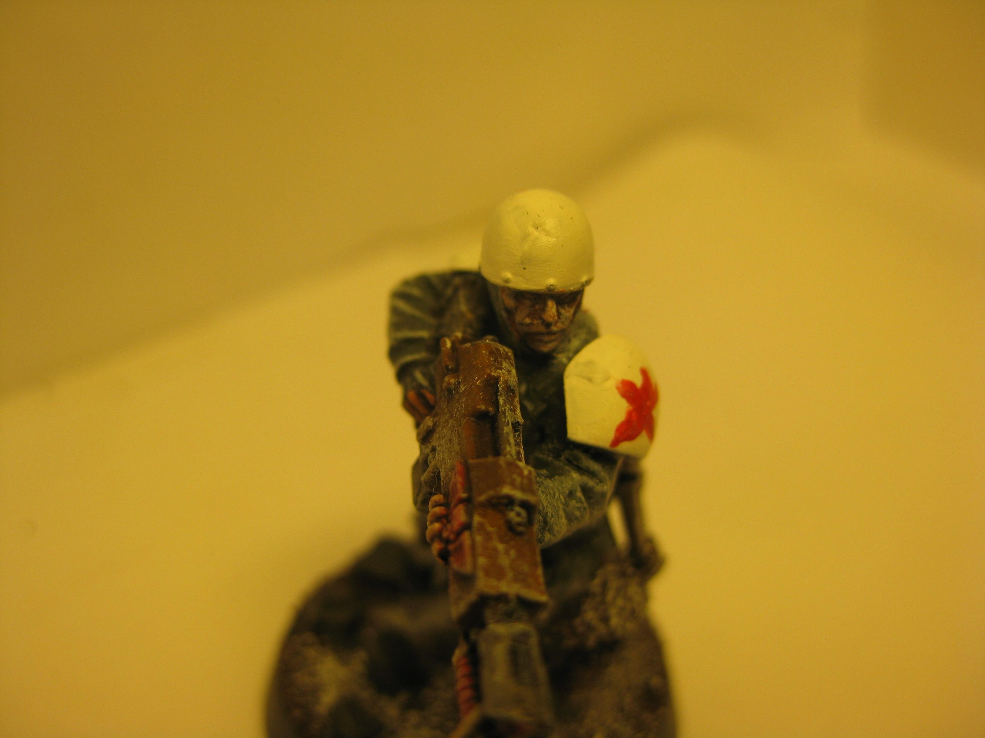 Conversion, Imperial Guard, Valhallans