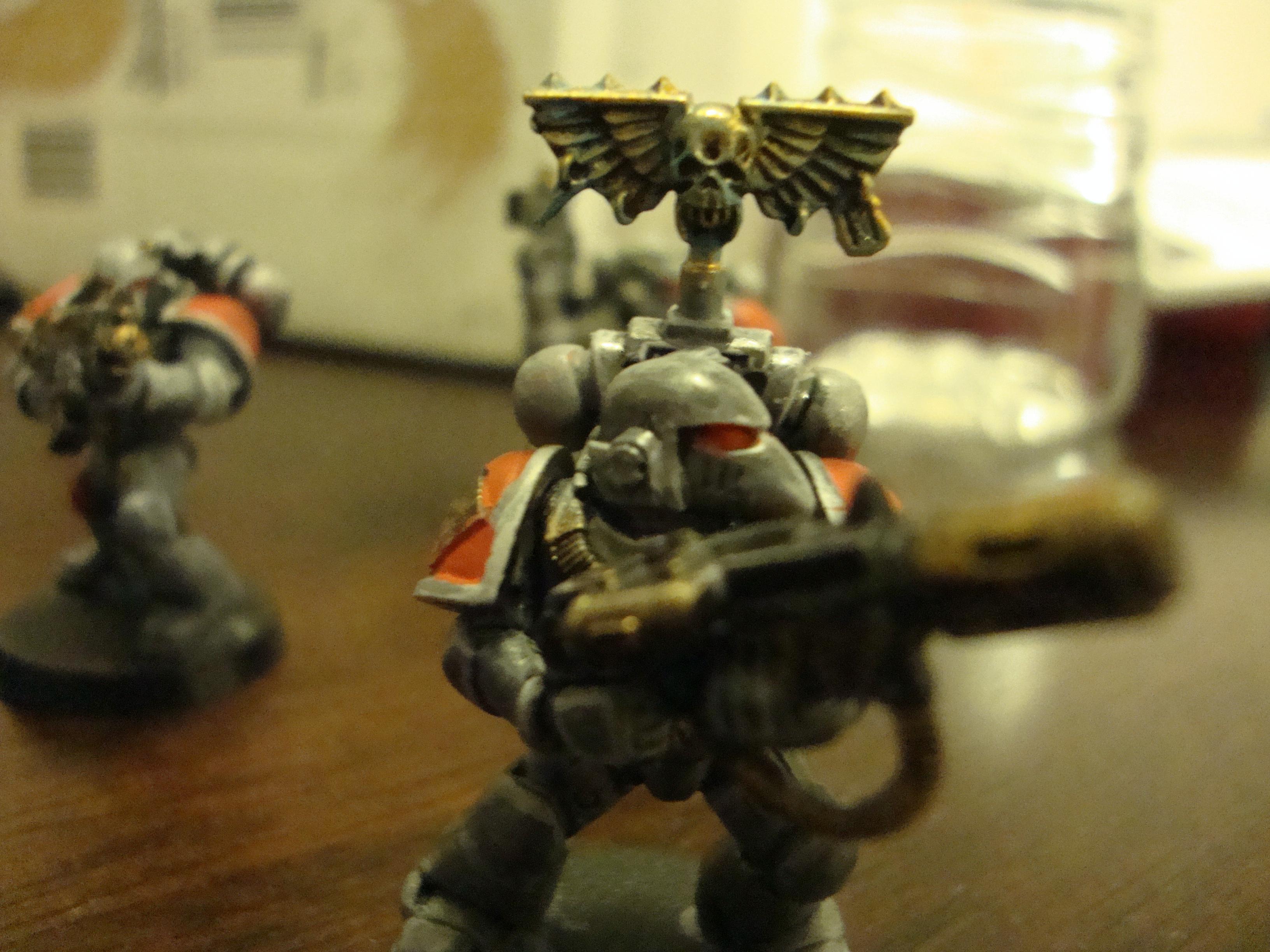 Grey Hunters, Space Wolves