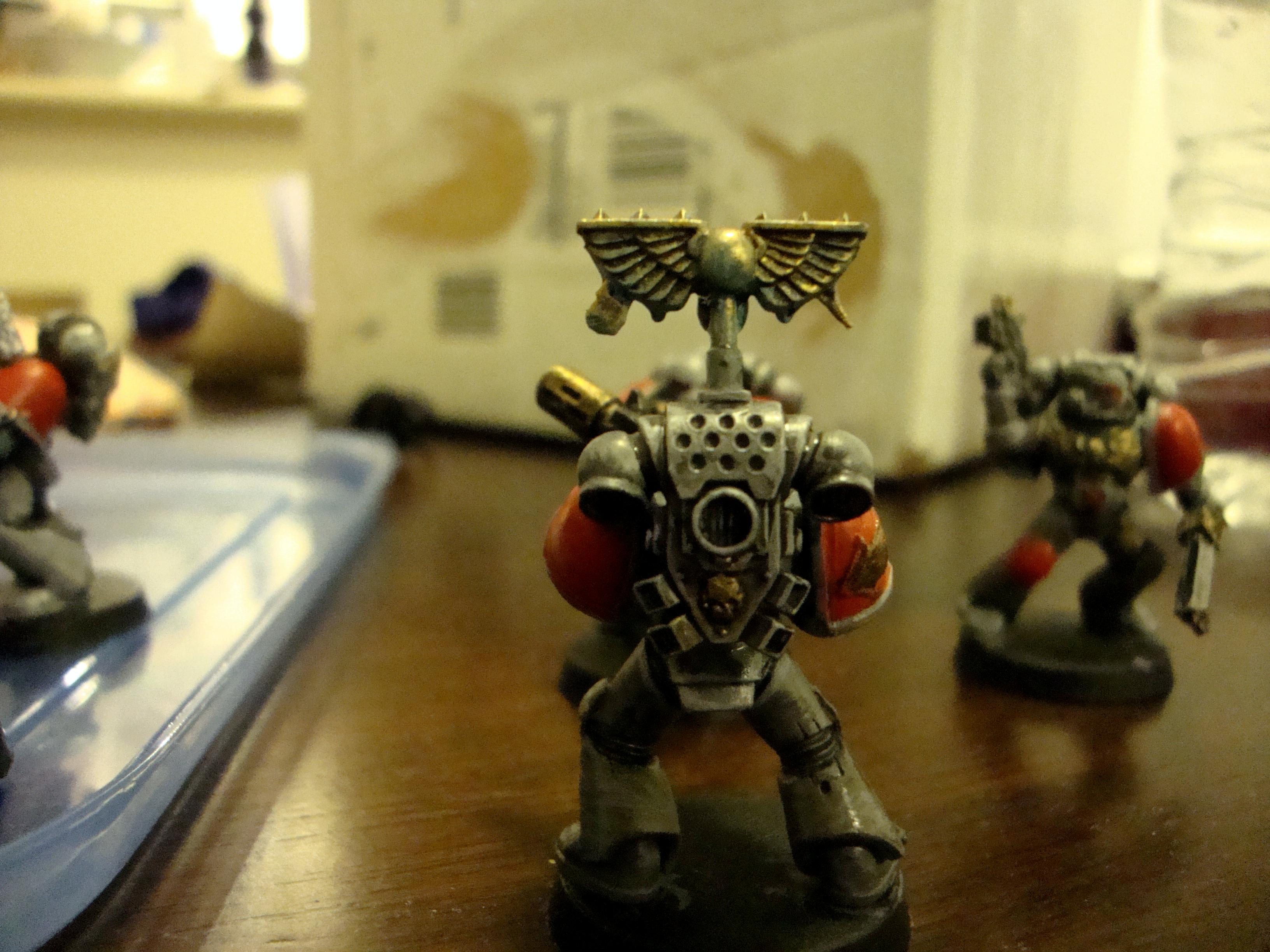 Grey Hunters, Space Wolves