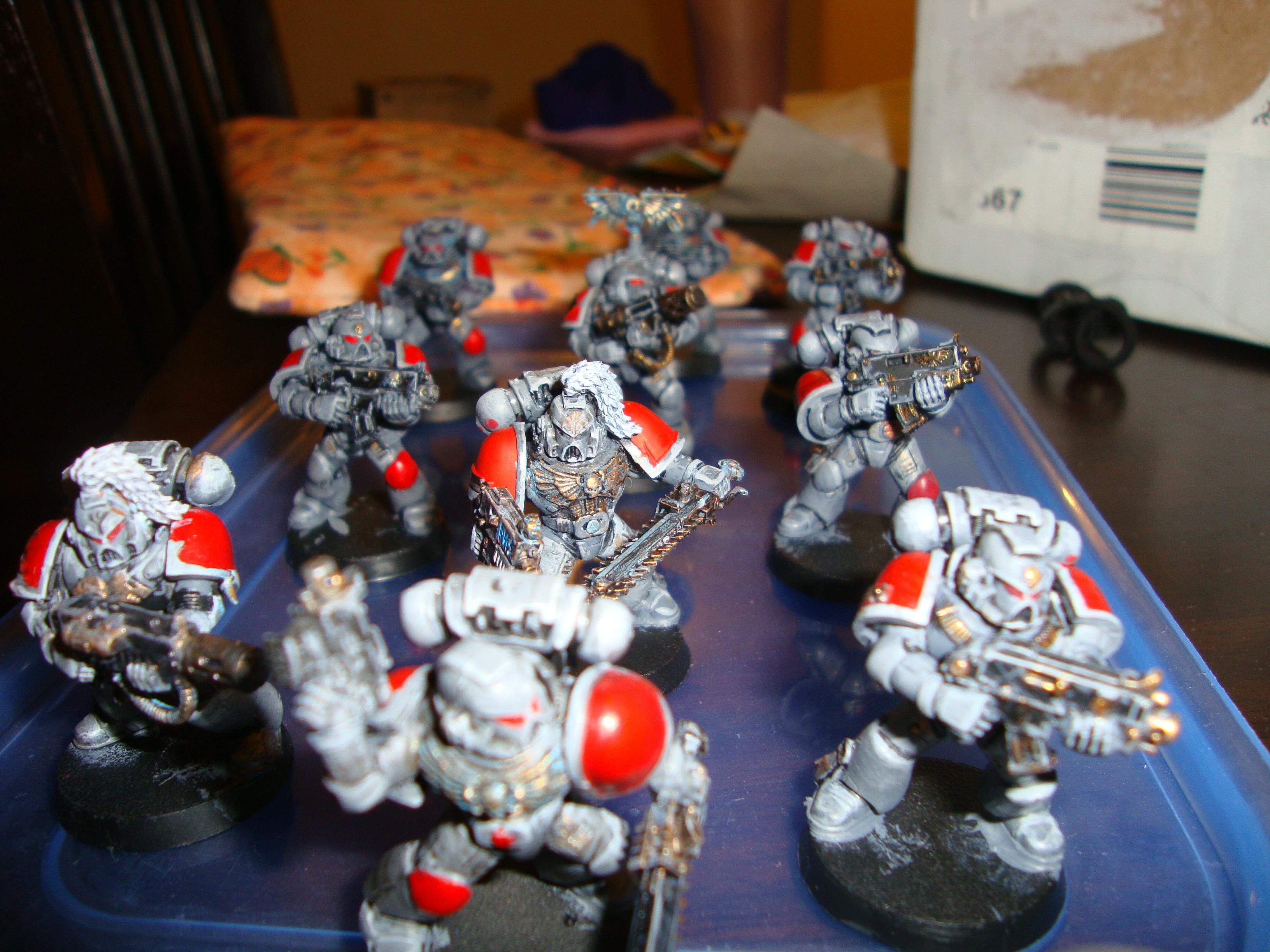 Grey Hunters, Space Wolves