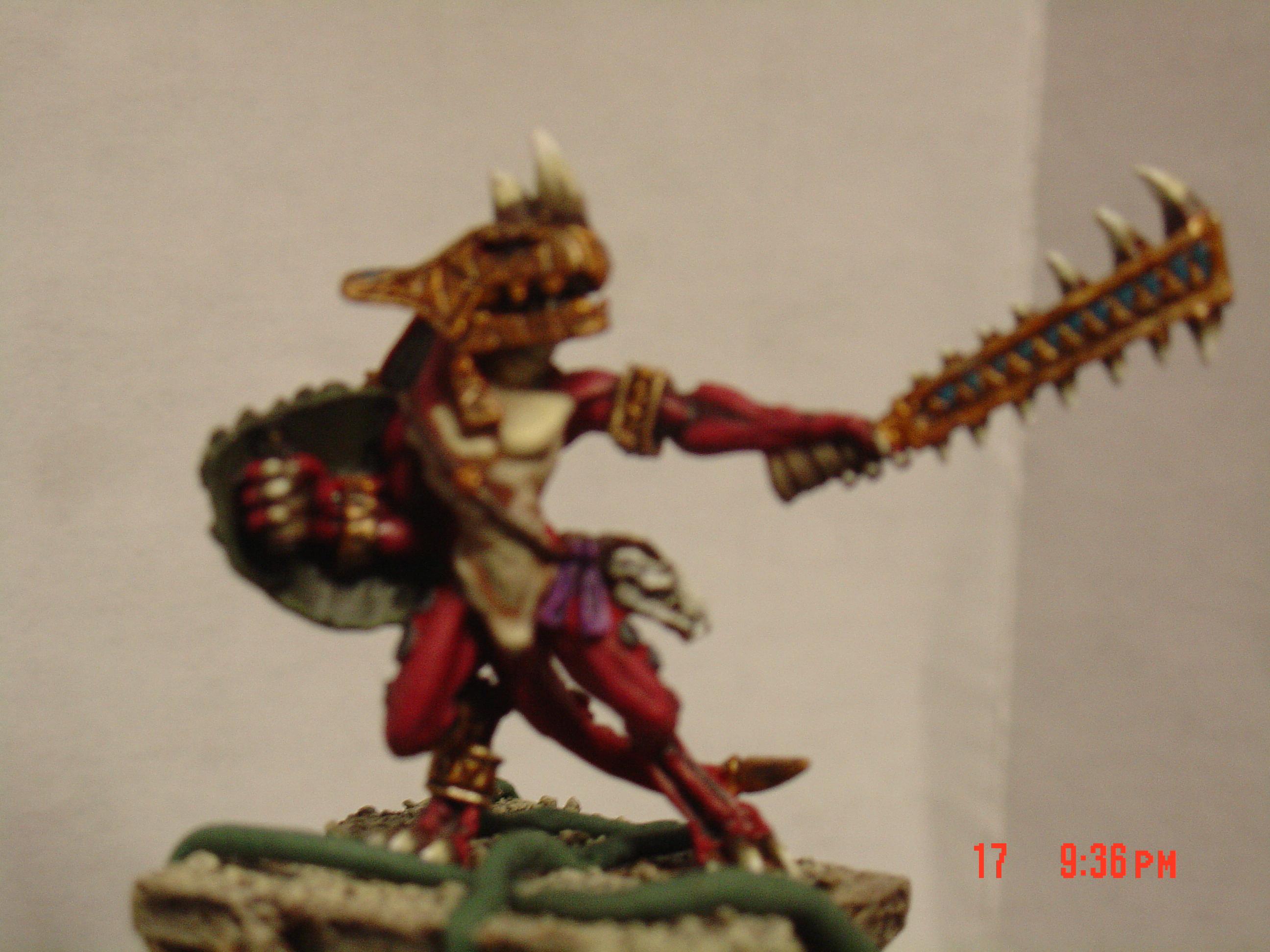 Blurred Photo, skink chief
