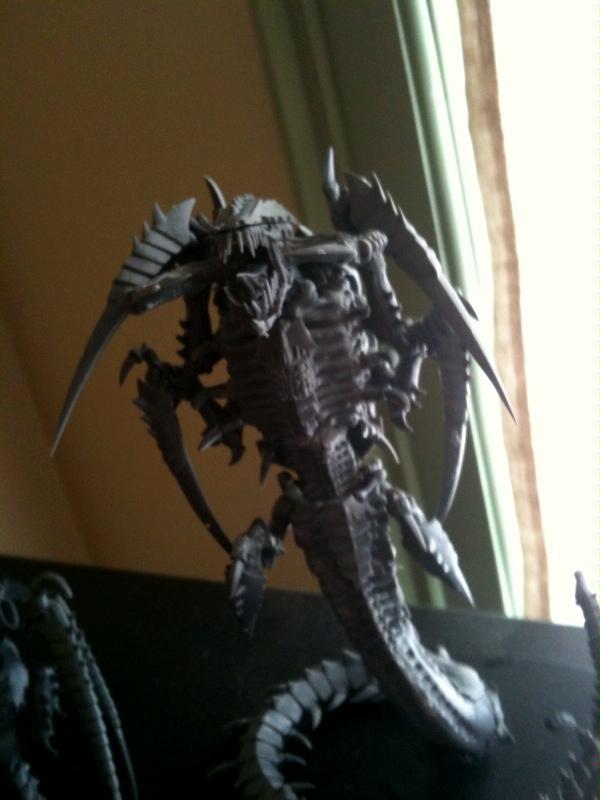 Trygon Prime