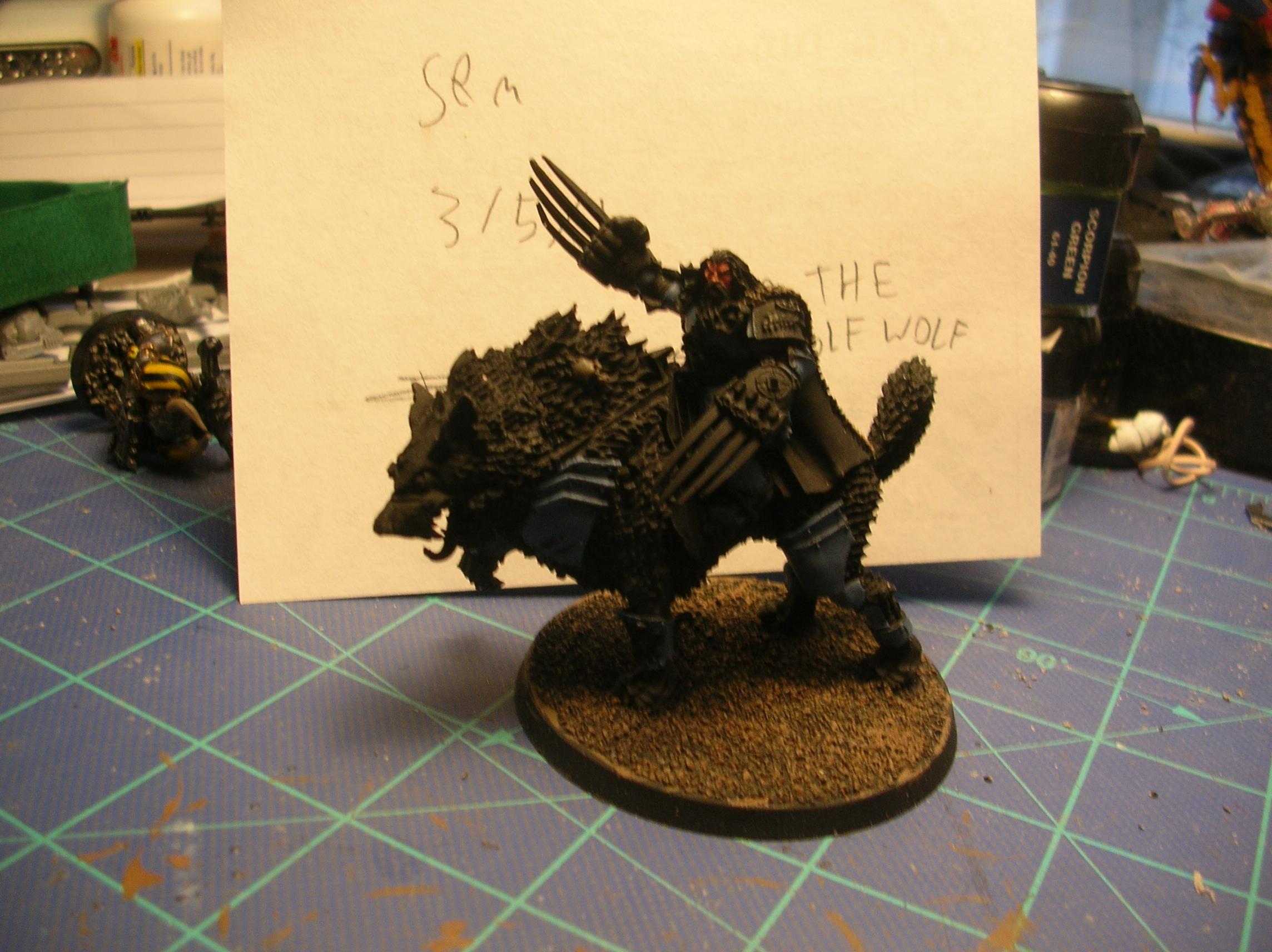 Canis Wolfborn, Space Marines, Space Wolves