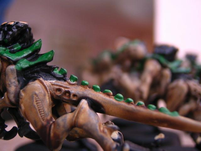 Tyranids