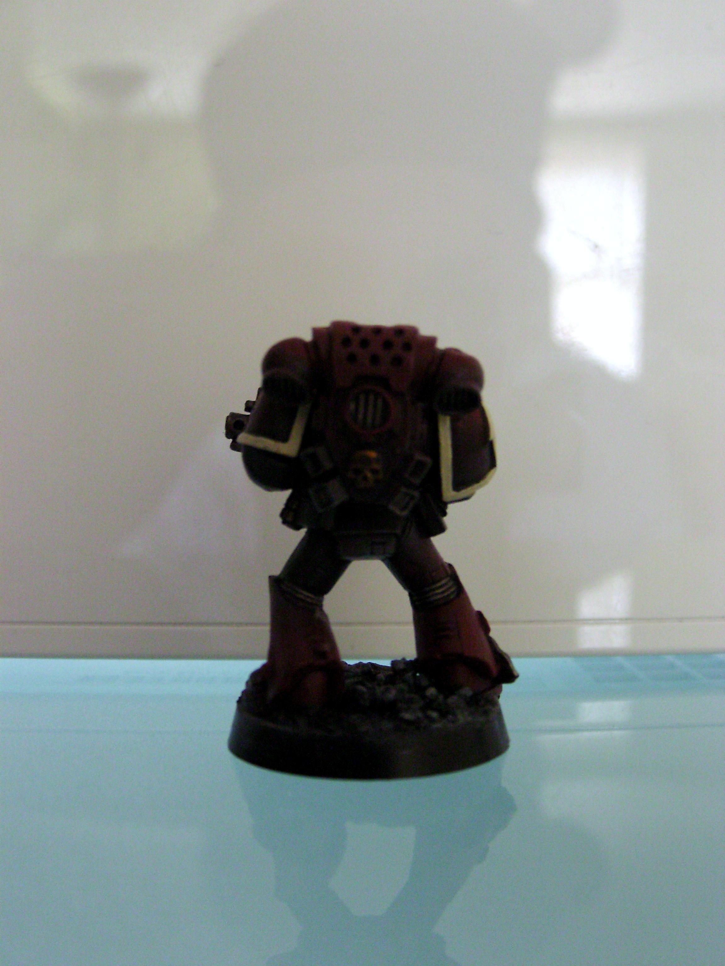 Custom Chapter, Emperors Tear, Space Marines, Warhammer 40,000