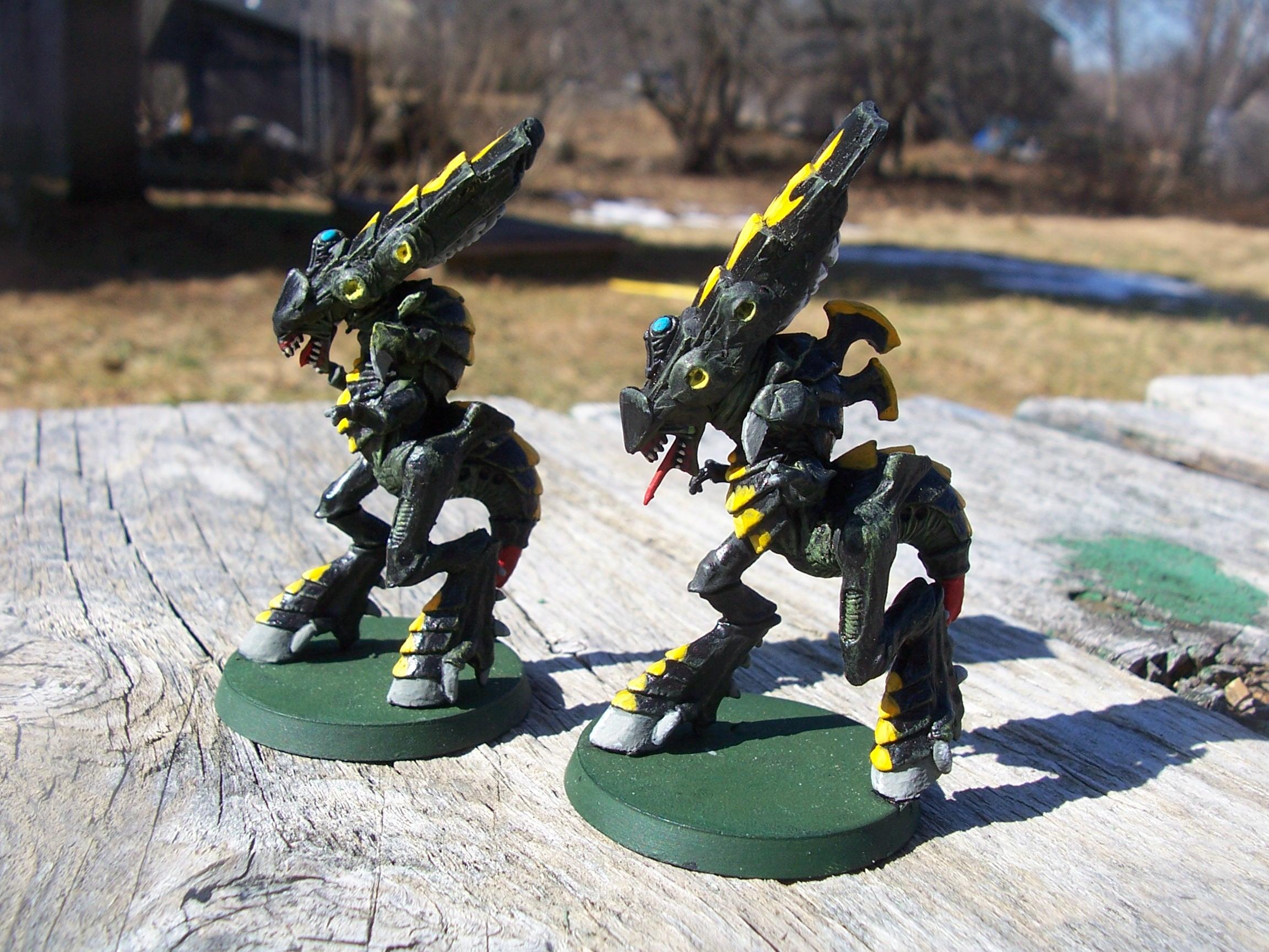 Zoanthropes