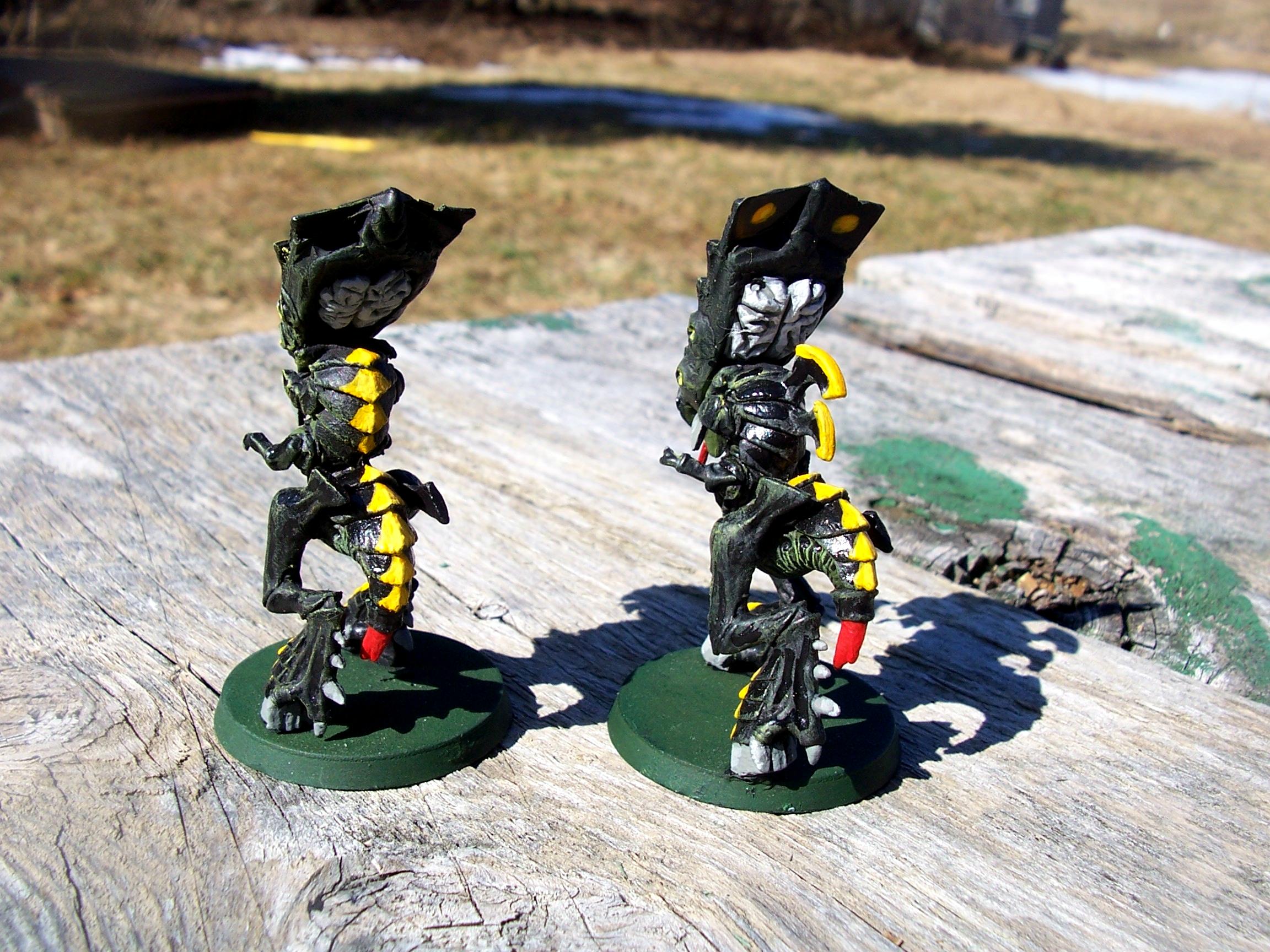 Zoanthropes back