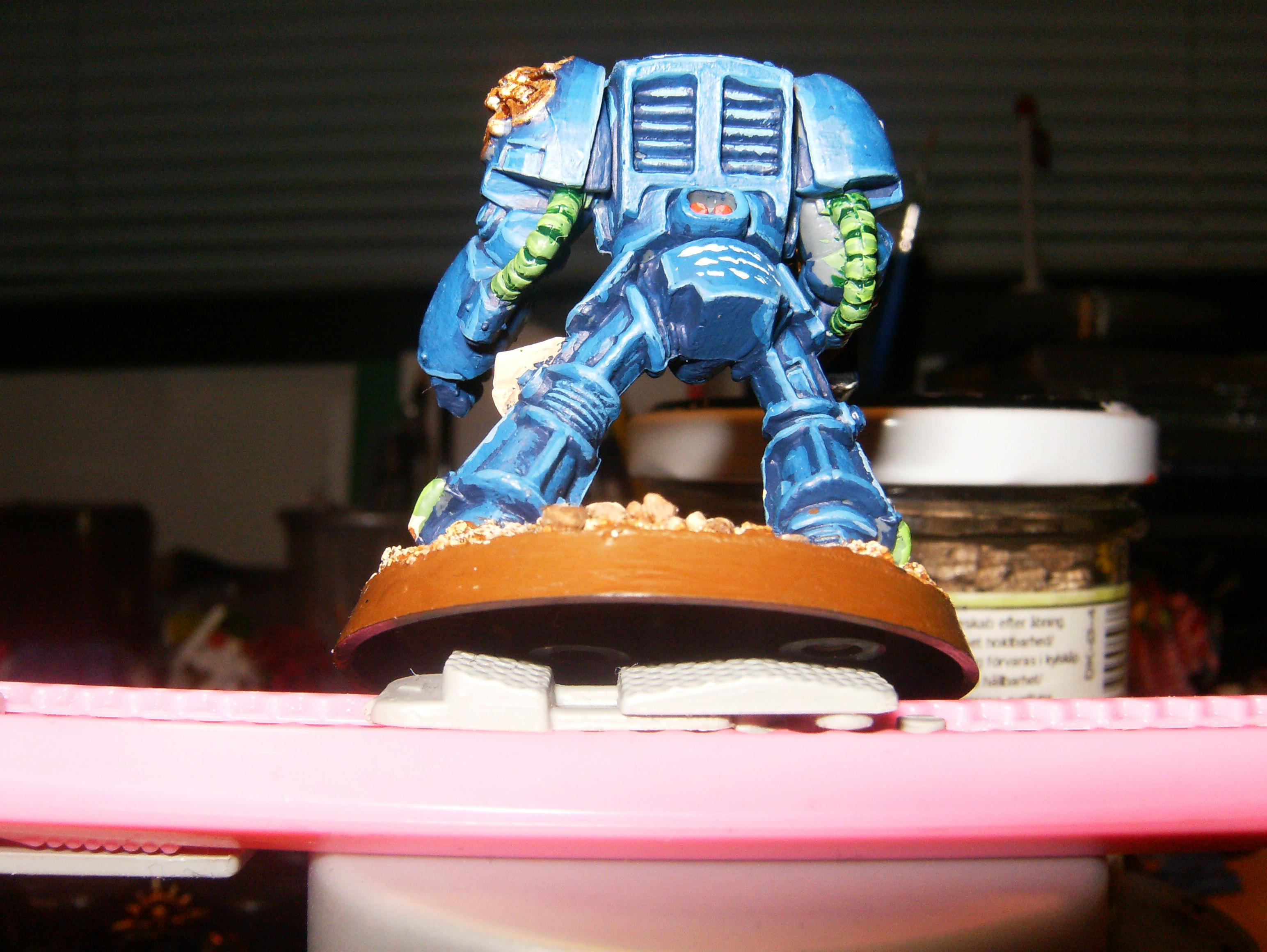 Space Marines, Terminator Armor, Ultramarines