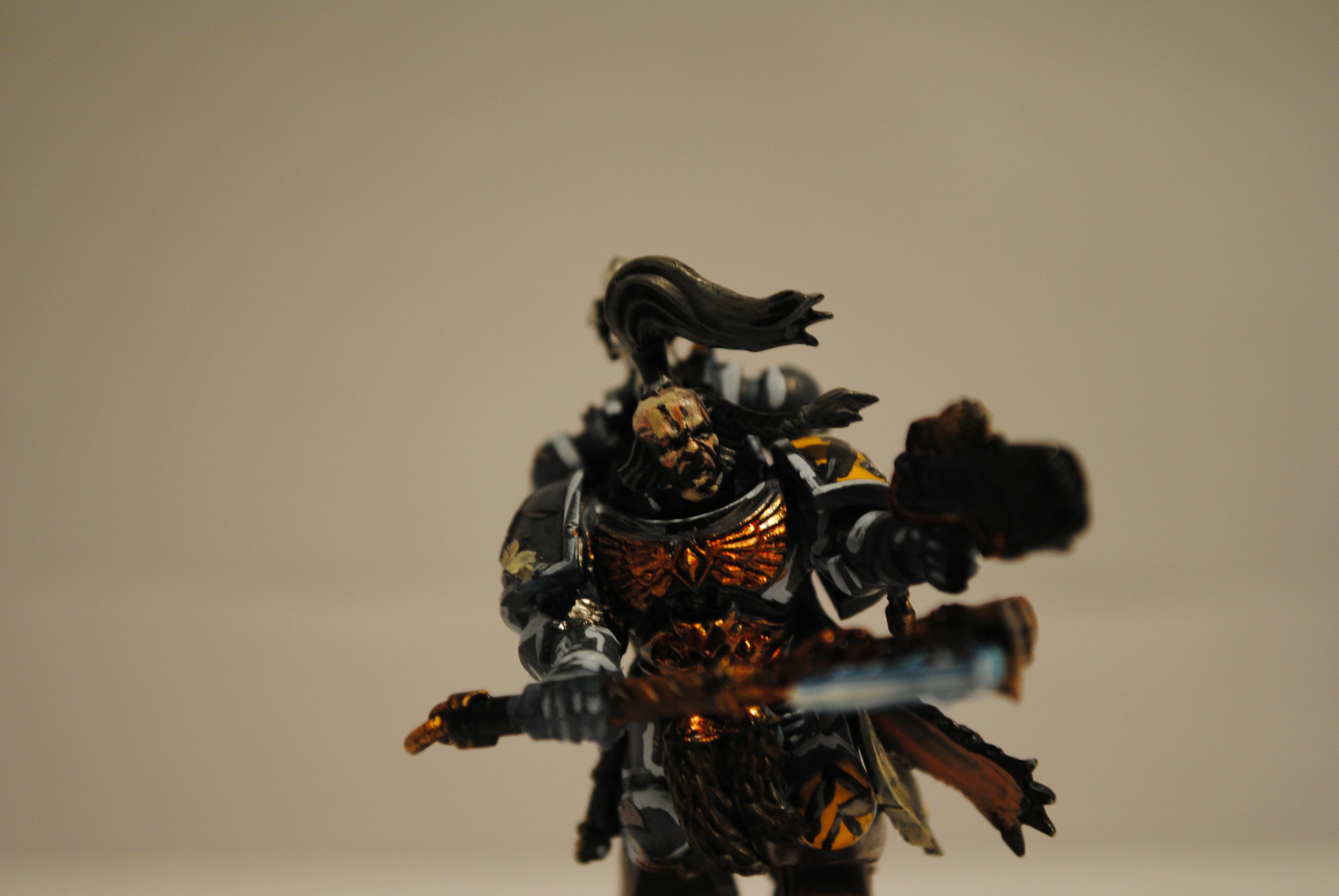 My Wolf gaurd battle leader