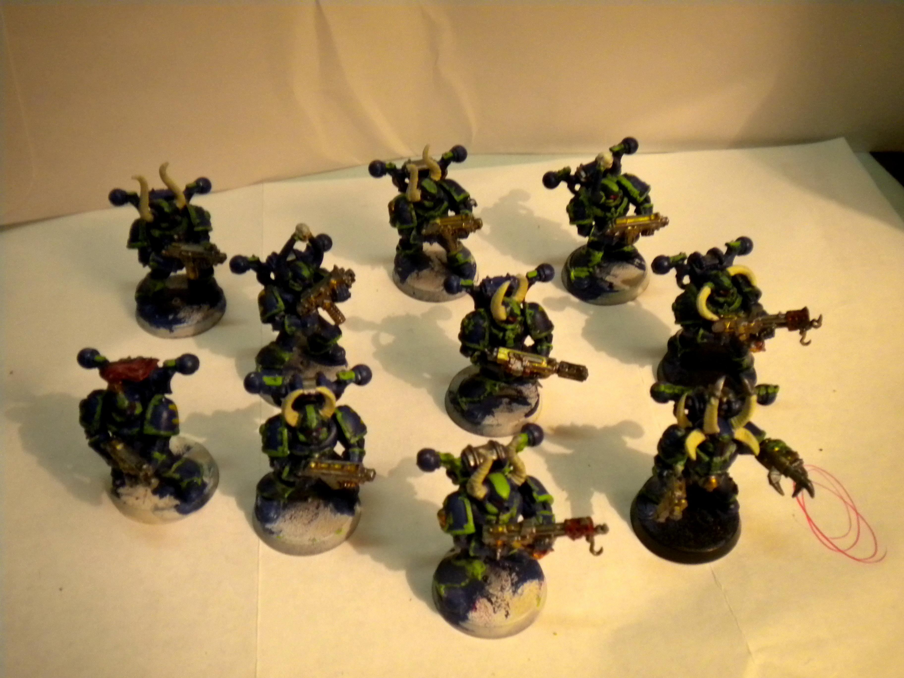 Finished CSM's