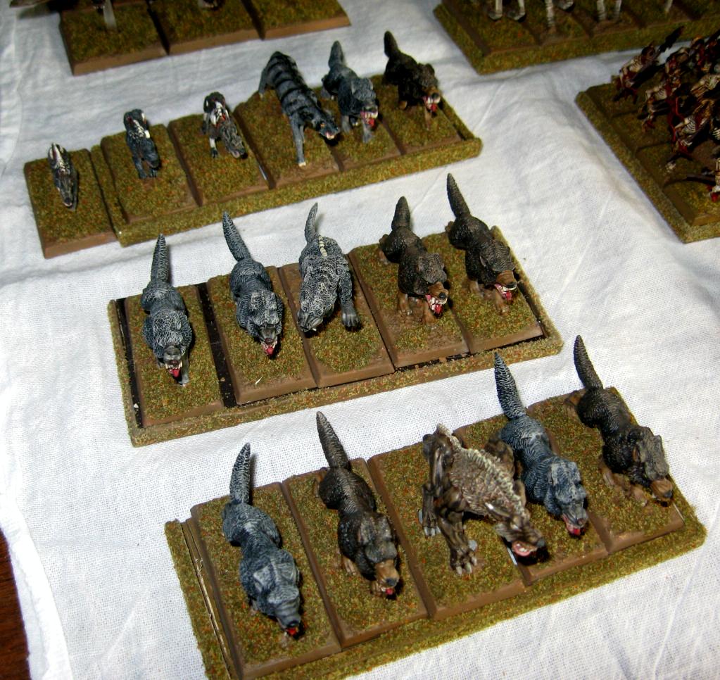 Dire Wolf, Vampire Counts