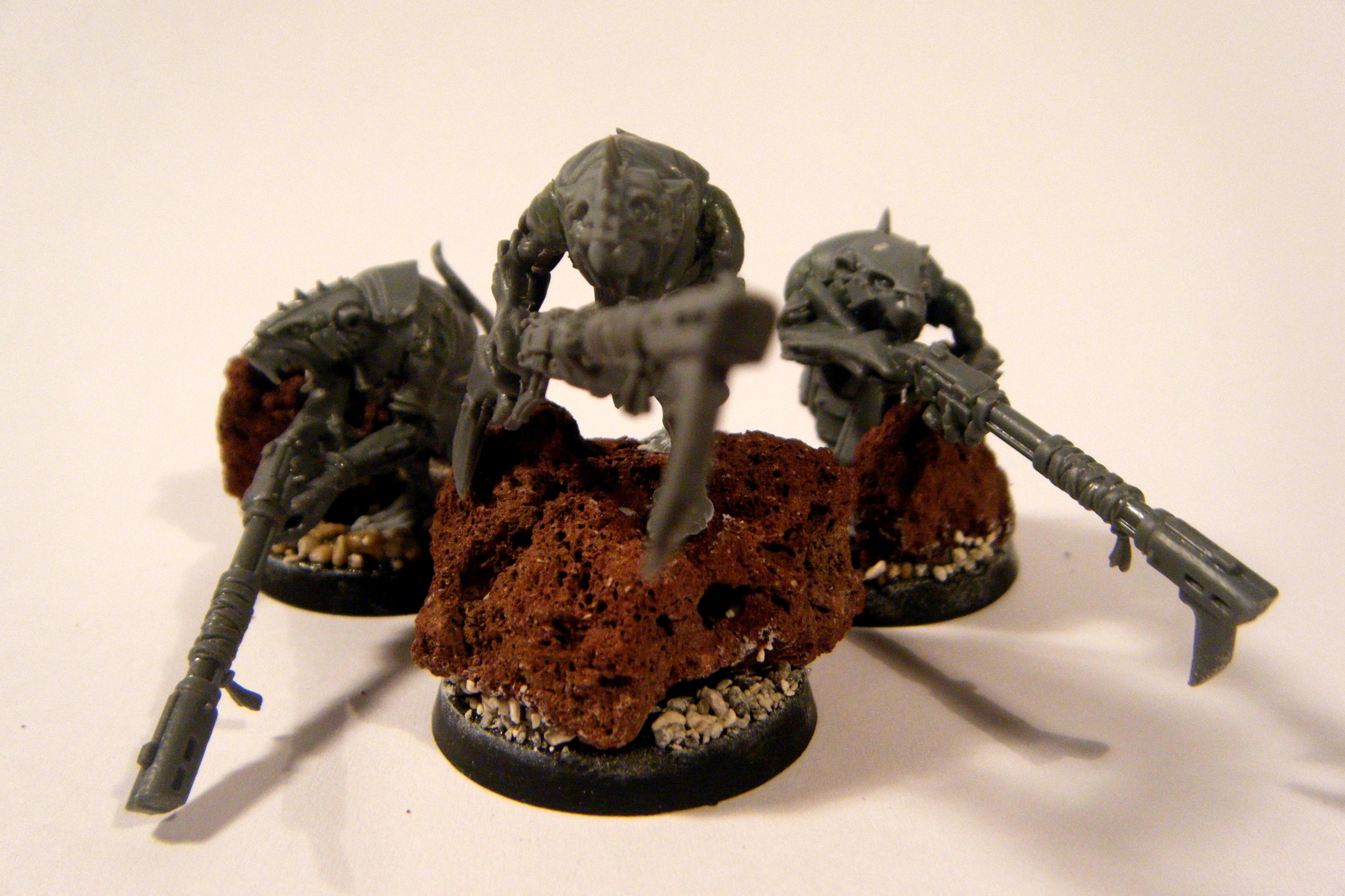 Kroot, Skaven, bhrat1