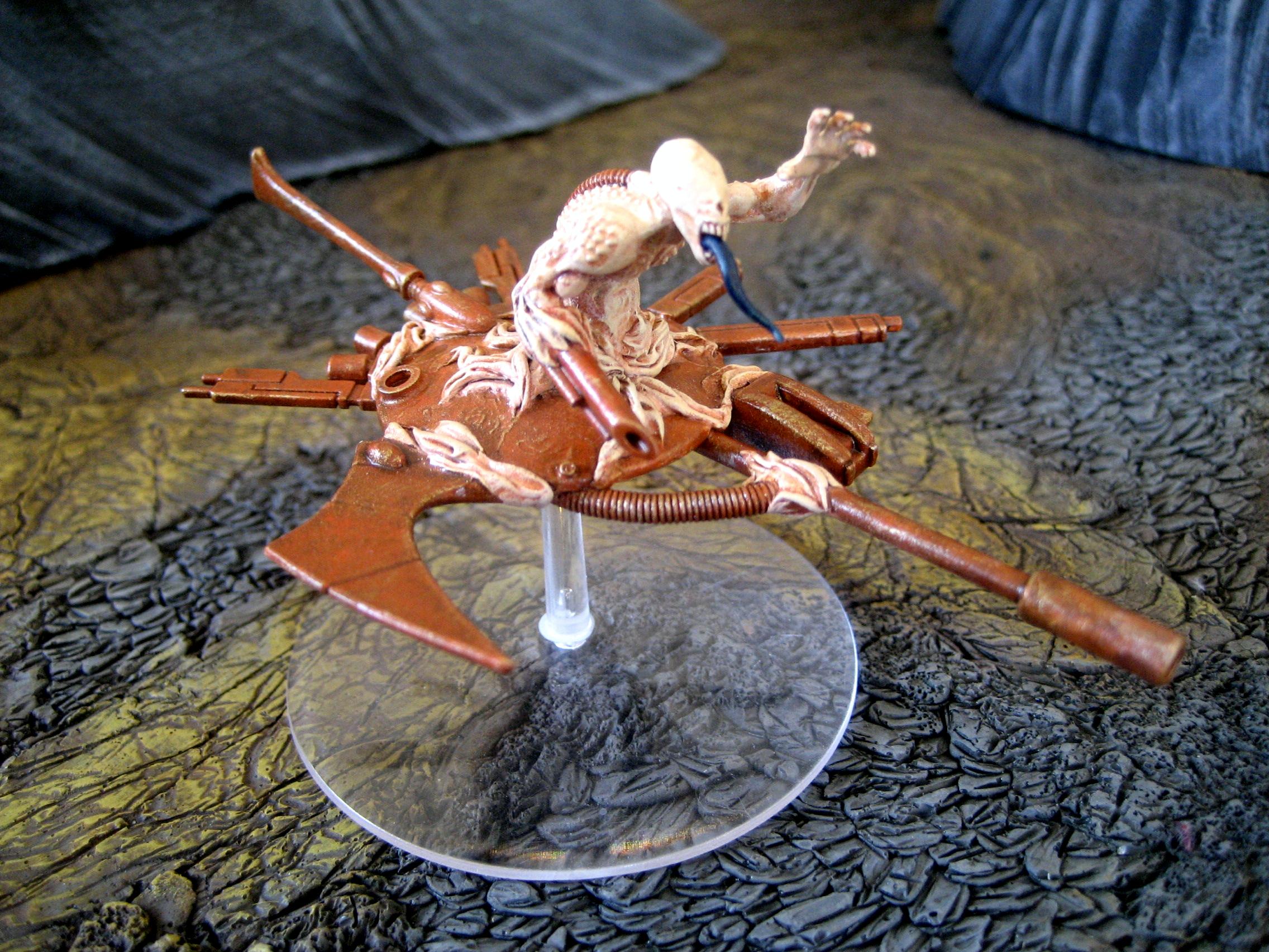 Painted Herald 2