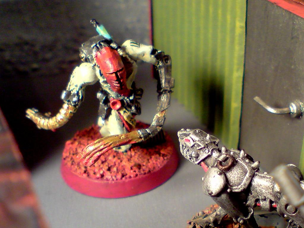Argoflagellant, Inquisition, Inquisitor