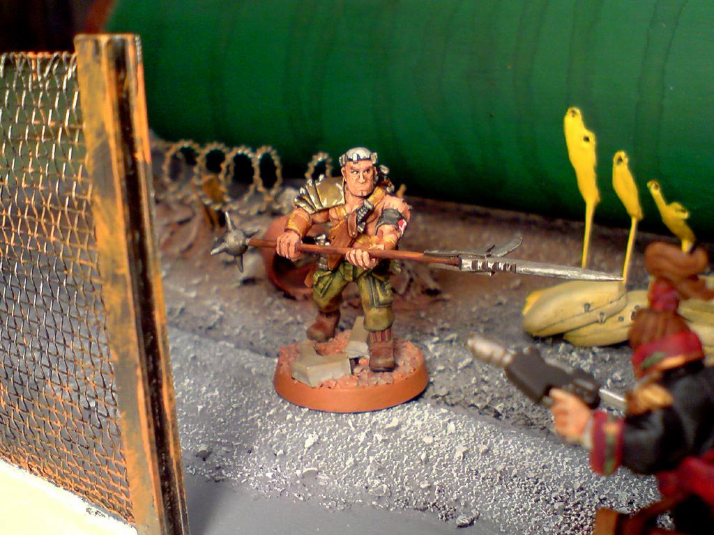 Conversion, Imperial, Imperial Guard, Inquisition, Inquisitor, Sergeant