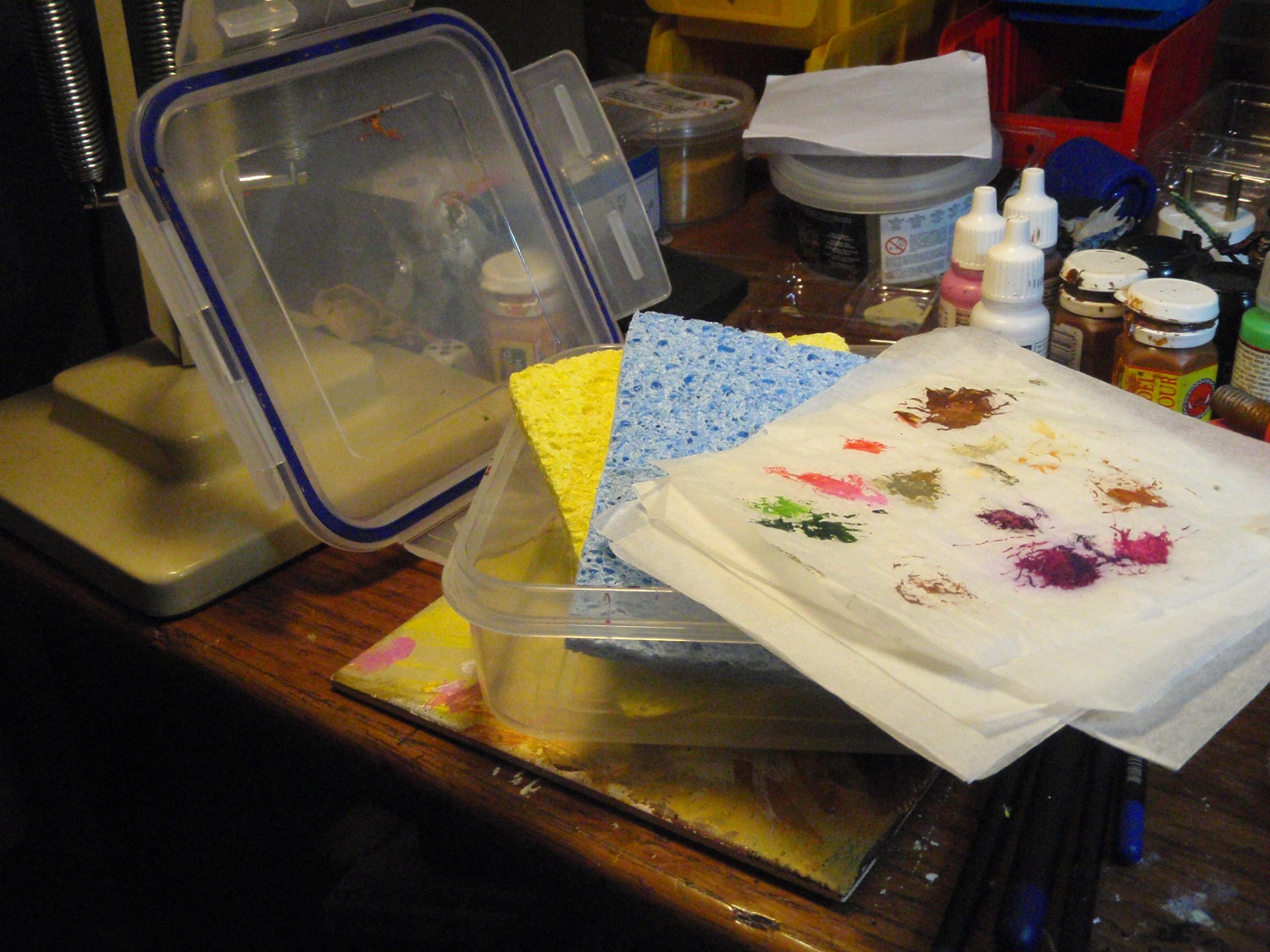 Wet Pallette
