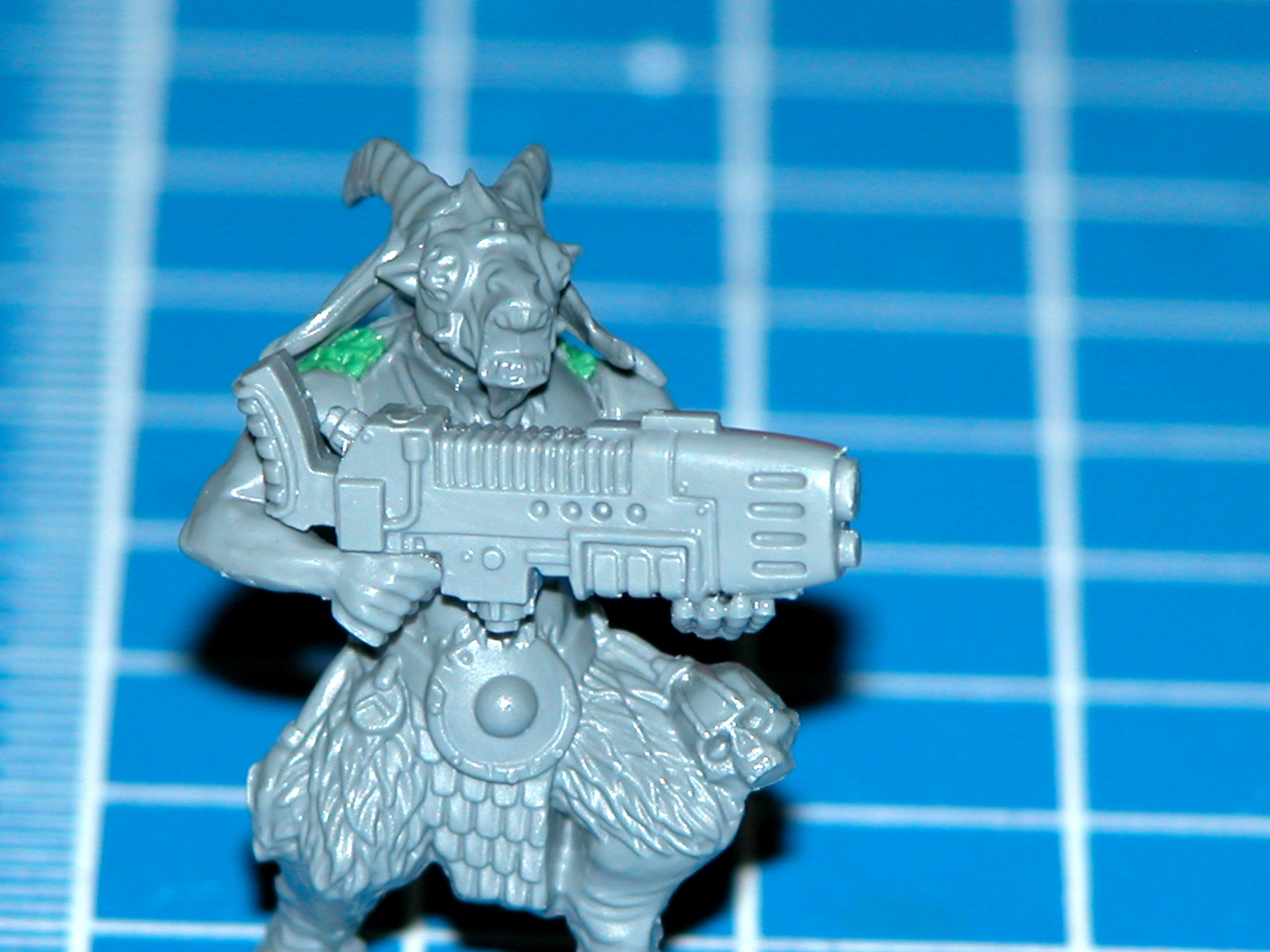 Beastmen, Imperial Guard, Lost And The Damned, Mutant