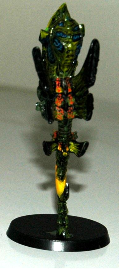 Zoanthrope Back