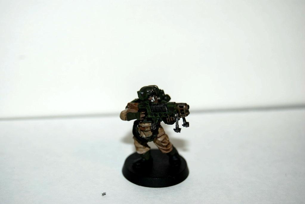 Cadians, Imperial Guard