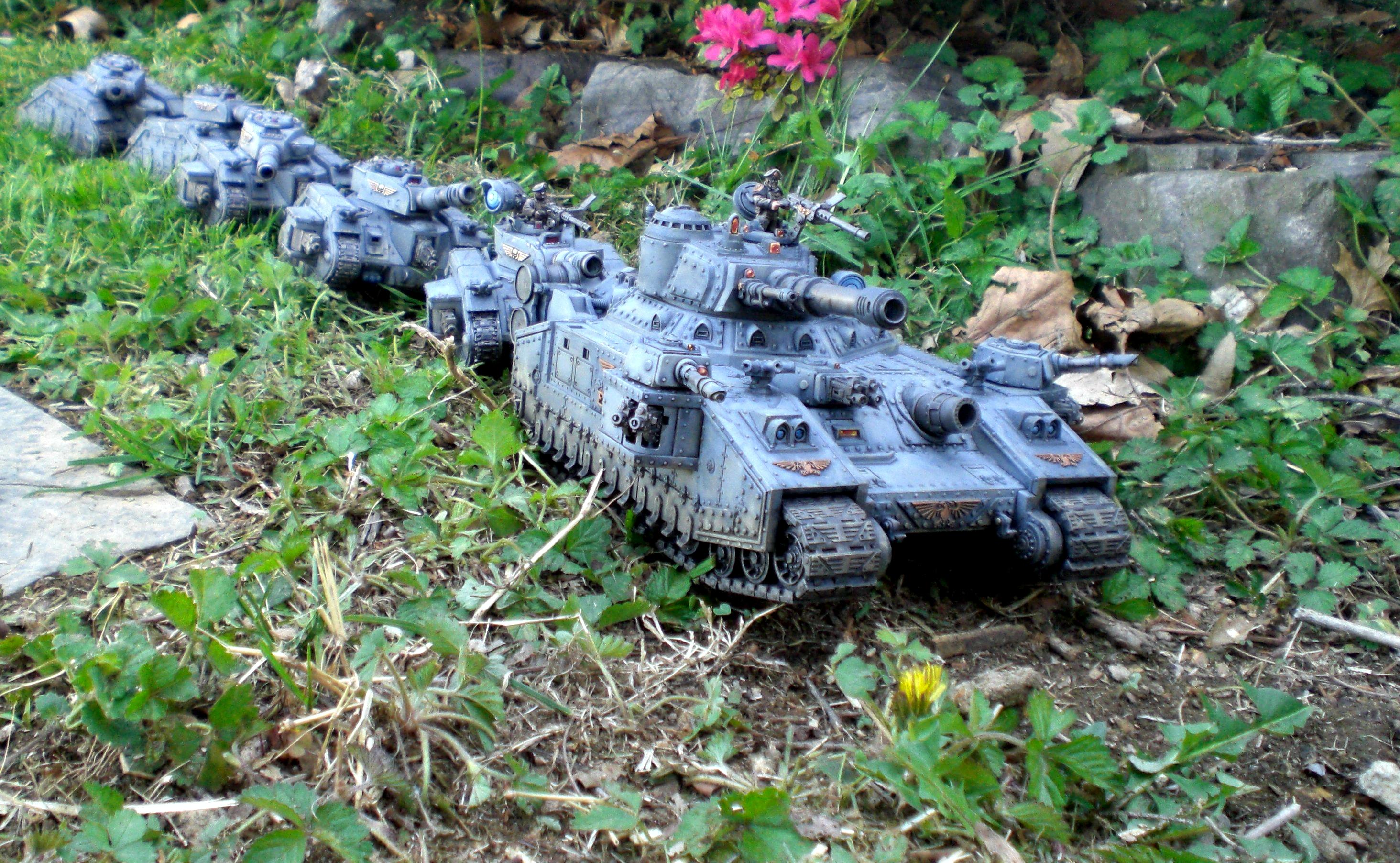 Duck Tanks 5