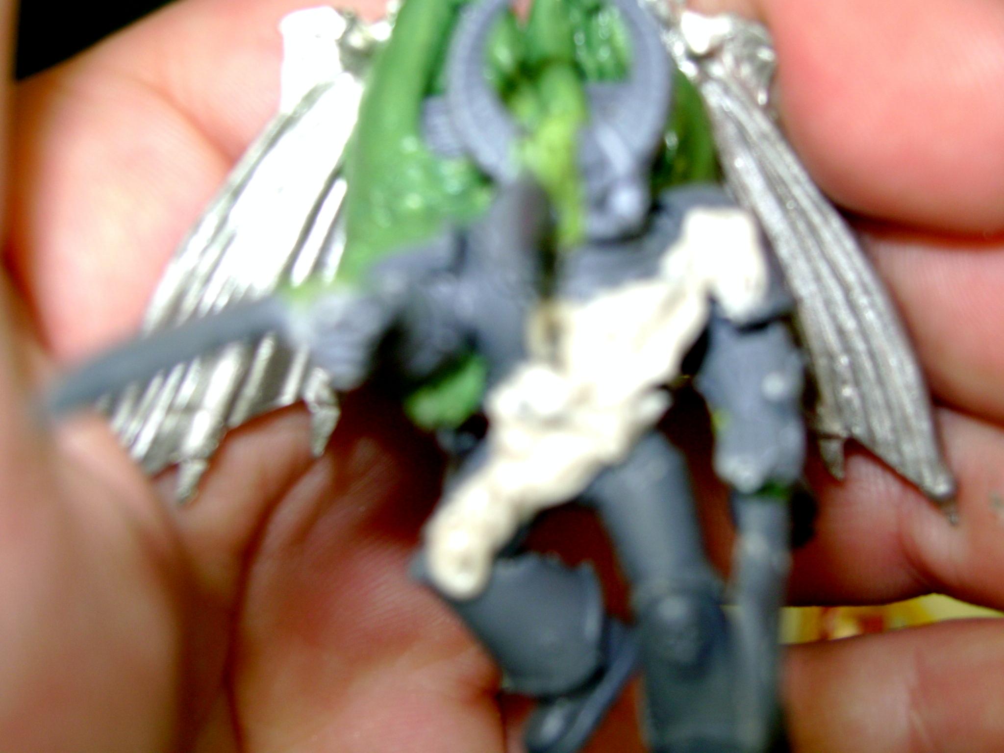 raptor champ