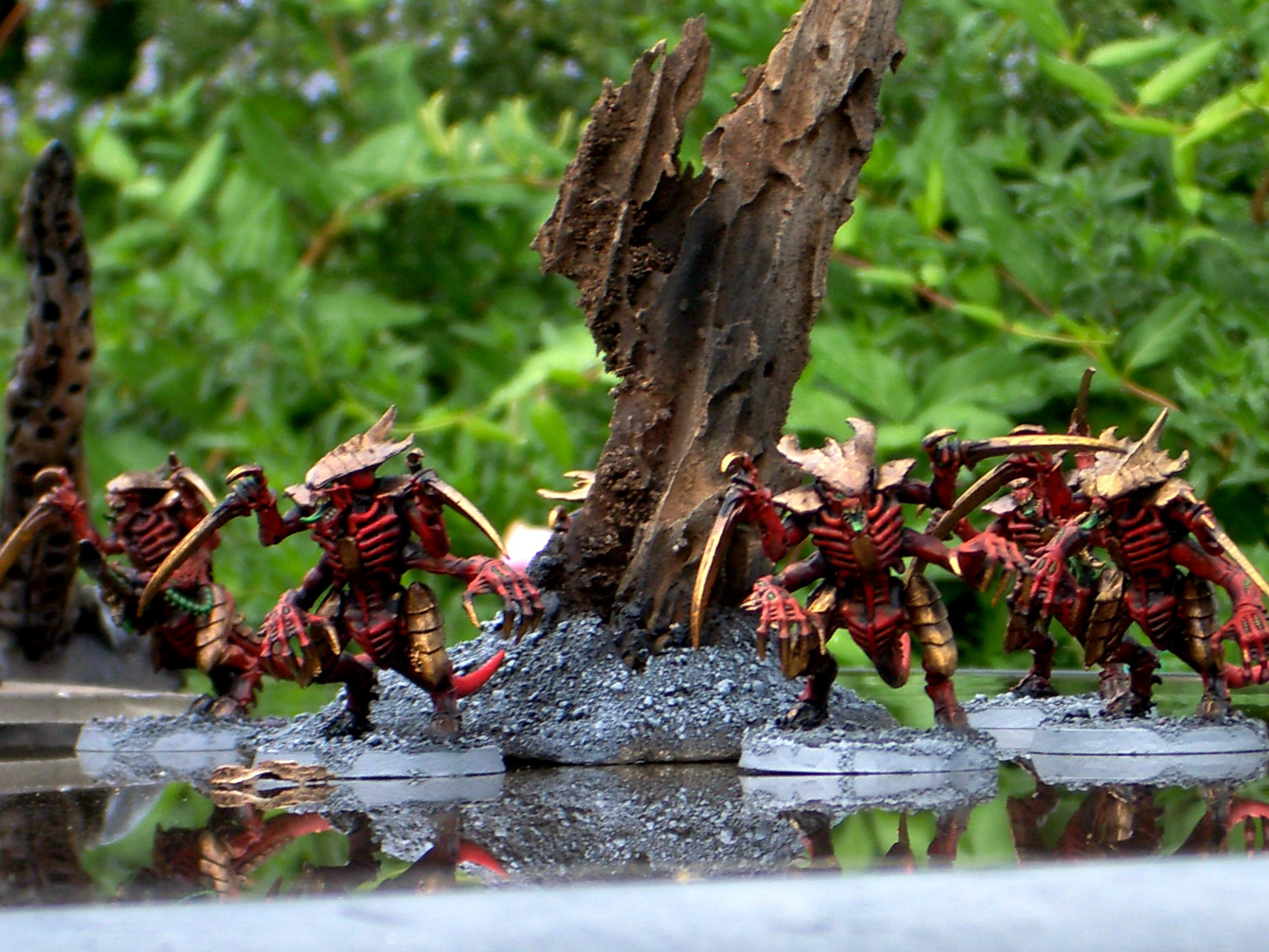 Tyranids Warriors Carnifax Bugs