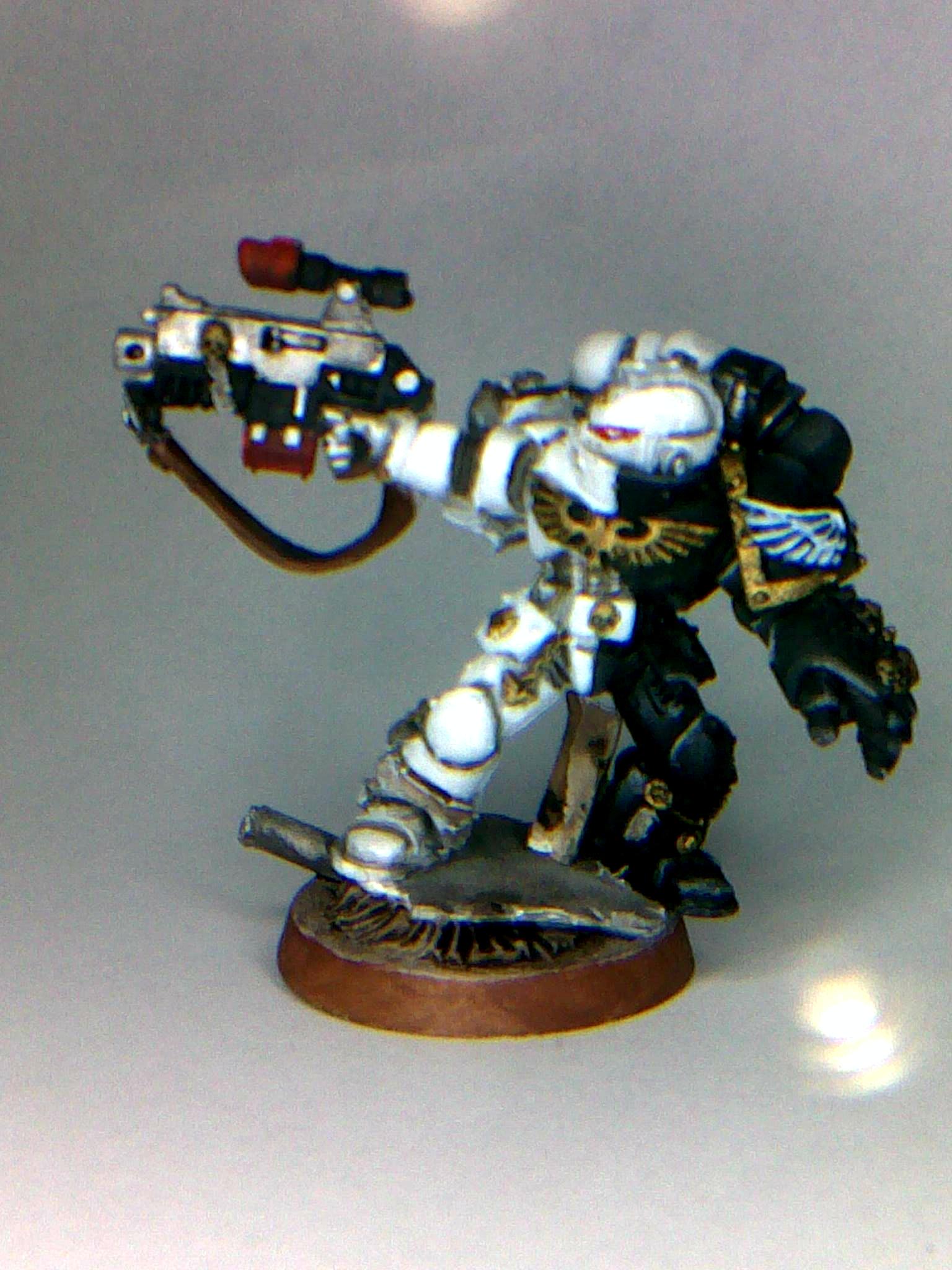 Omega Marine Sternguard