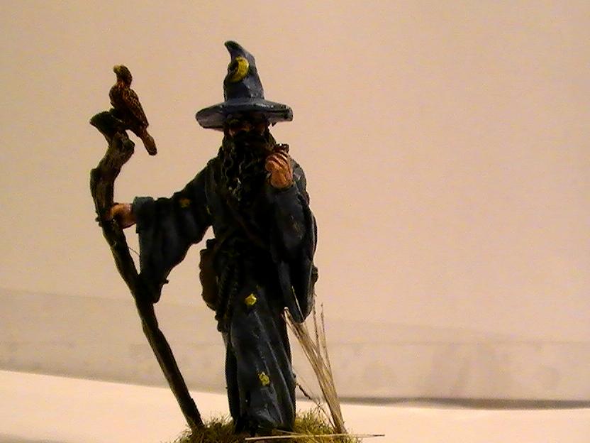 Wizard, Wizard 1