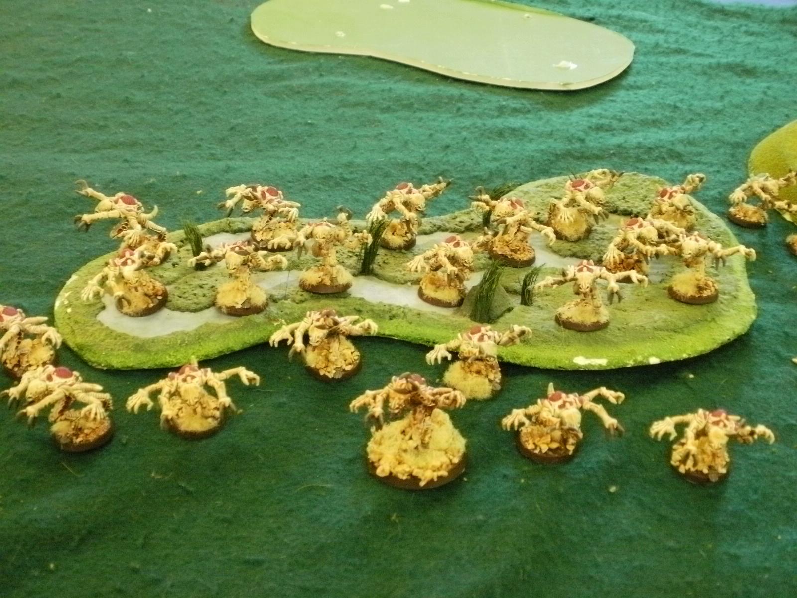 Fuscia Brood