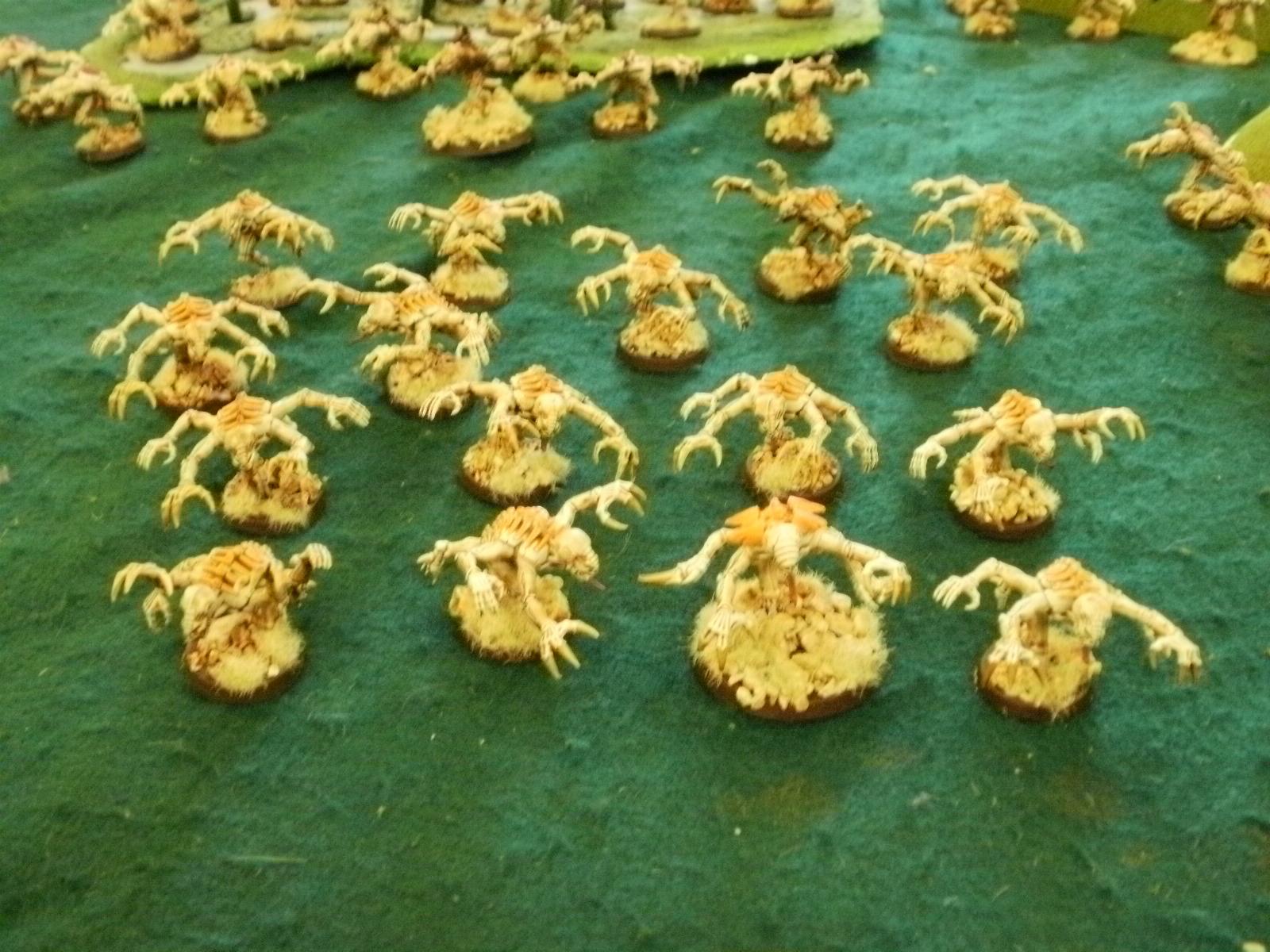 orange brood 2