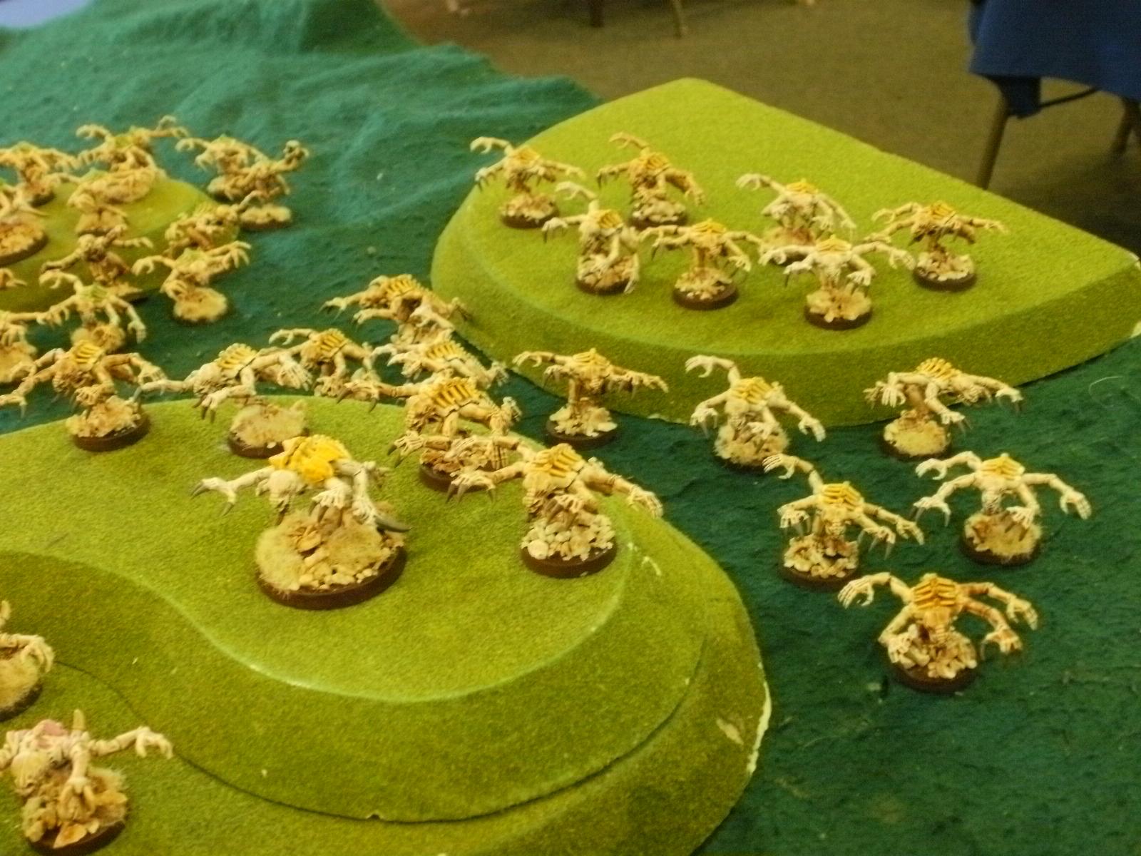 Yellow Brood