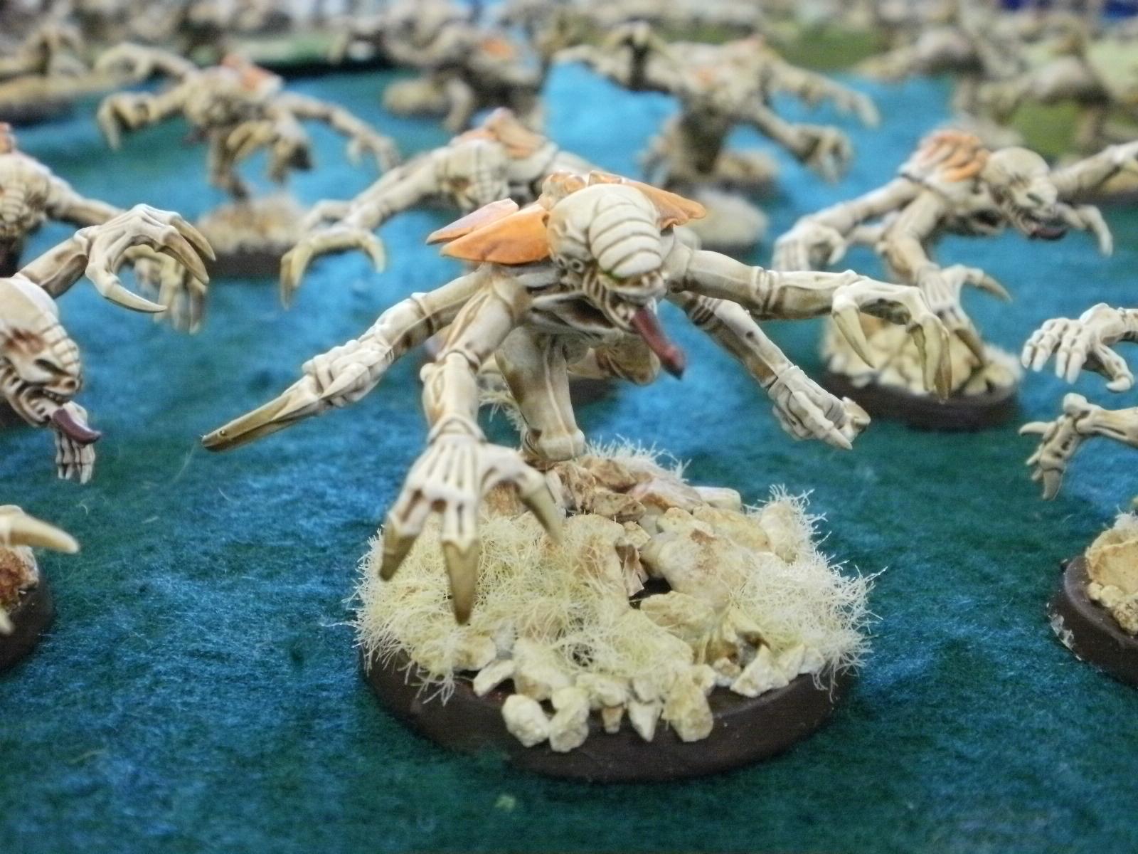 Orange Broodlord