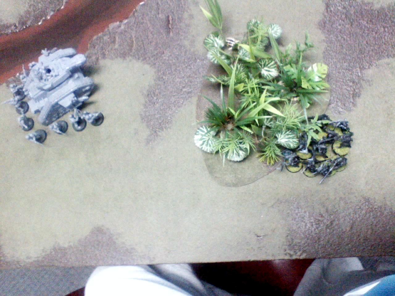 Executioner attacking Kroot