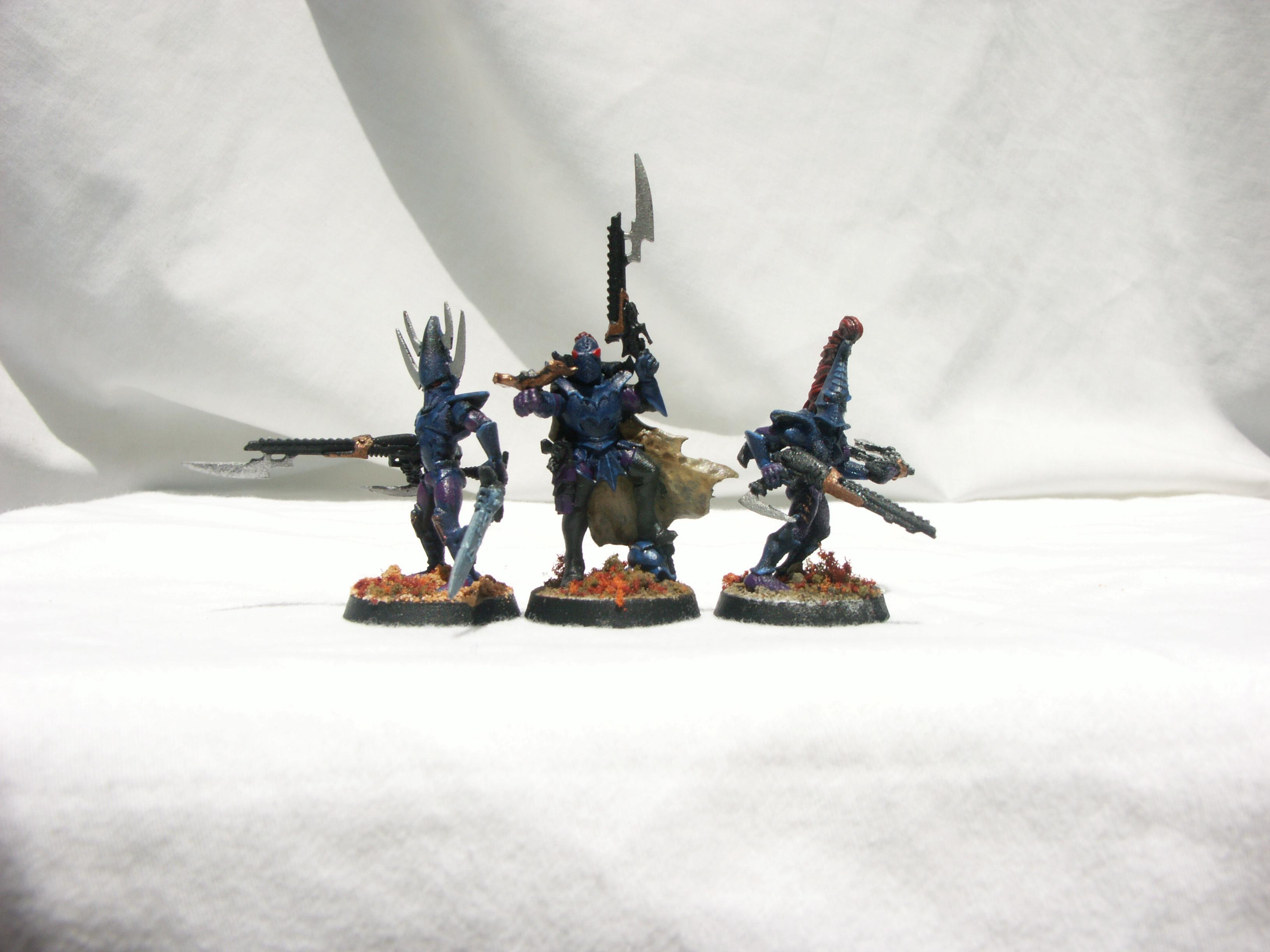 Dark Eldar, Warhammer 40,000, Warriors