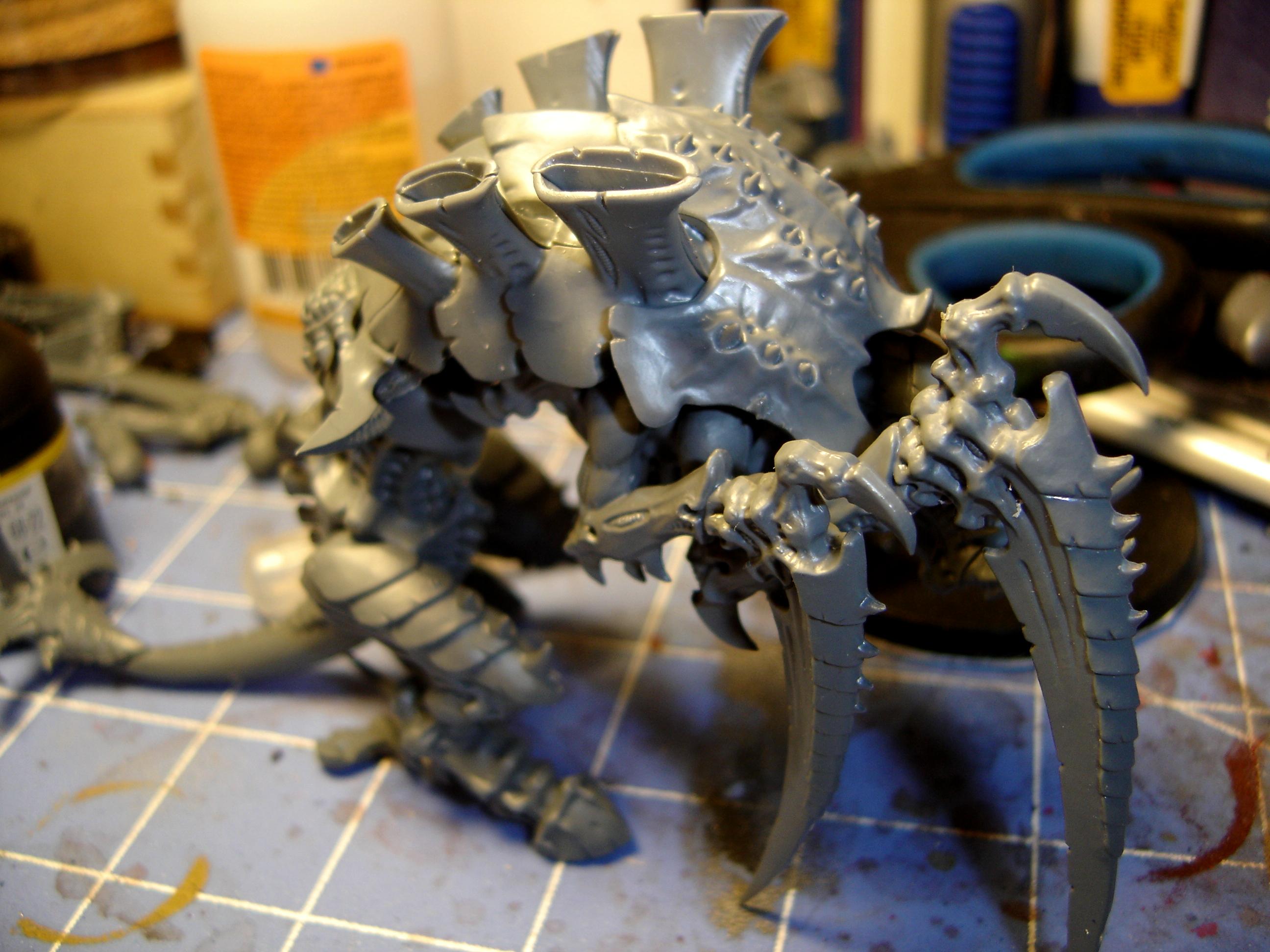 Tervigon WIP